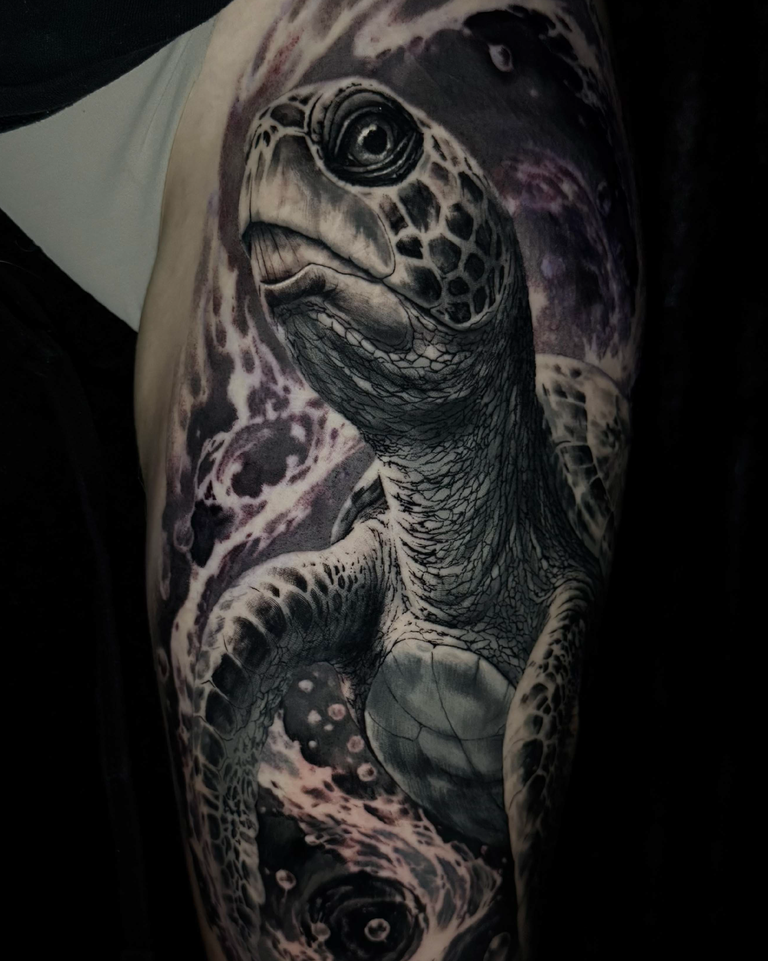 Tatuagens animais - Bruno Guedes