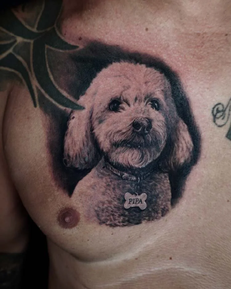 Tatuagens animais - Bruno Guedes