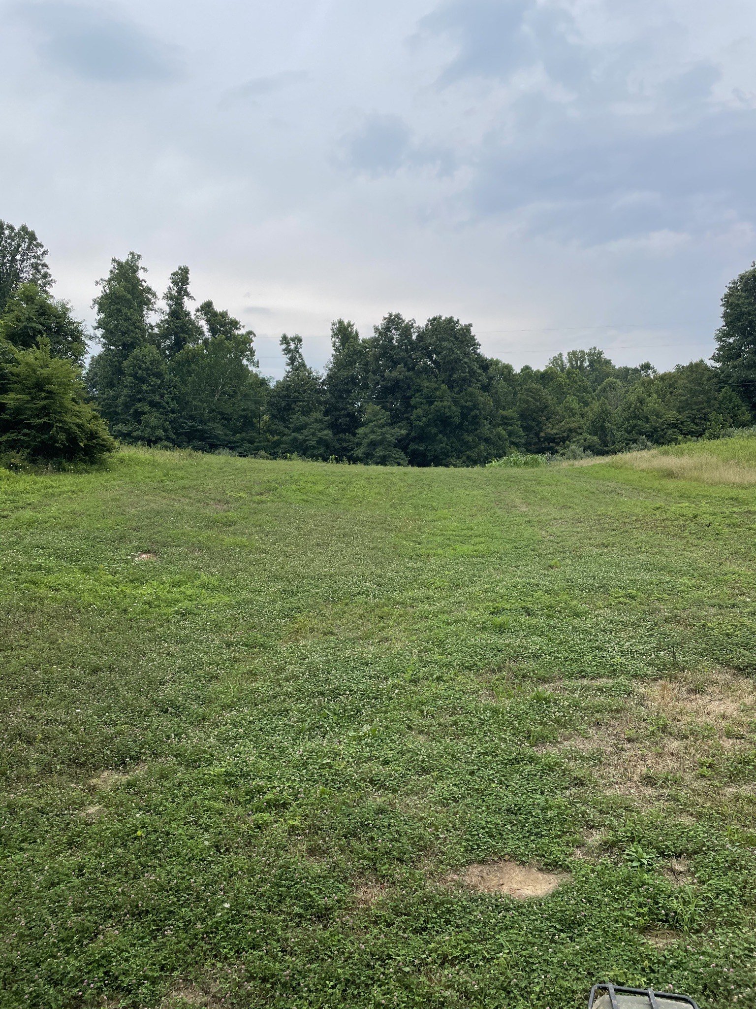 Food Plots and Where to Begin — Shade River Outdoors