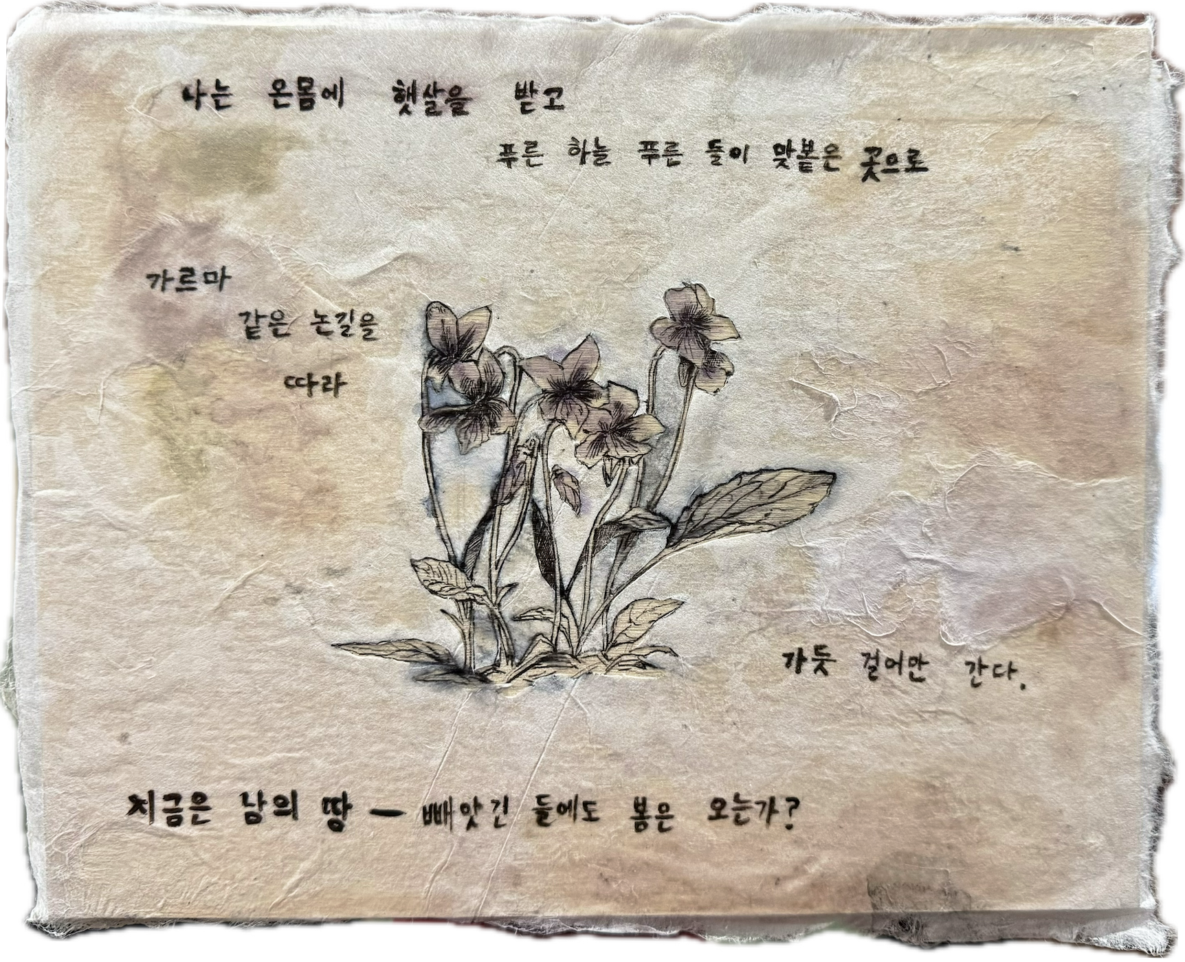 "With my whole body bathed in sunlight, I walk
towards the place where the blue sky and green fields meet
Along the narrow path through the rice paddies, like a parting of the hair, 
as if walking in a dream."


                                      