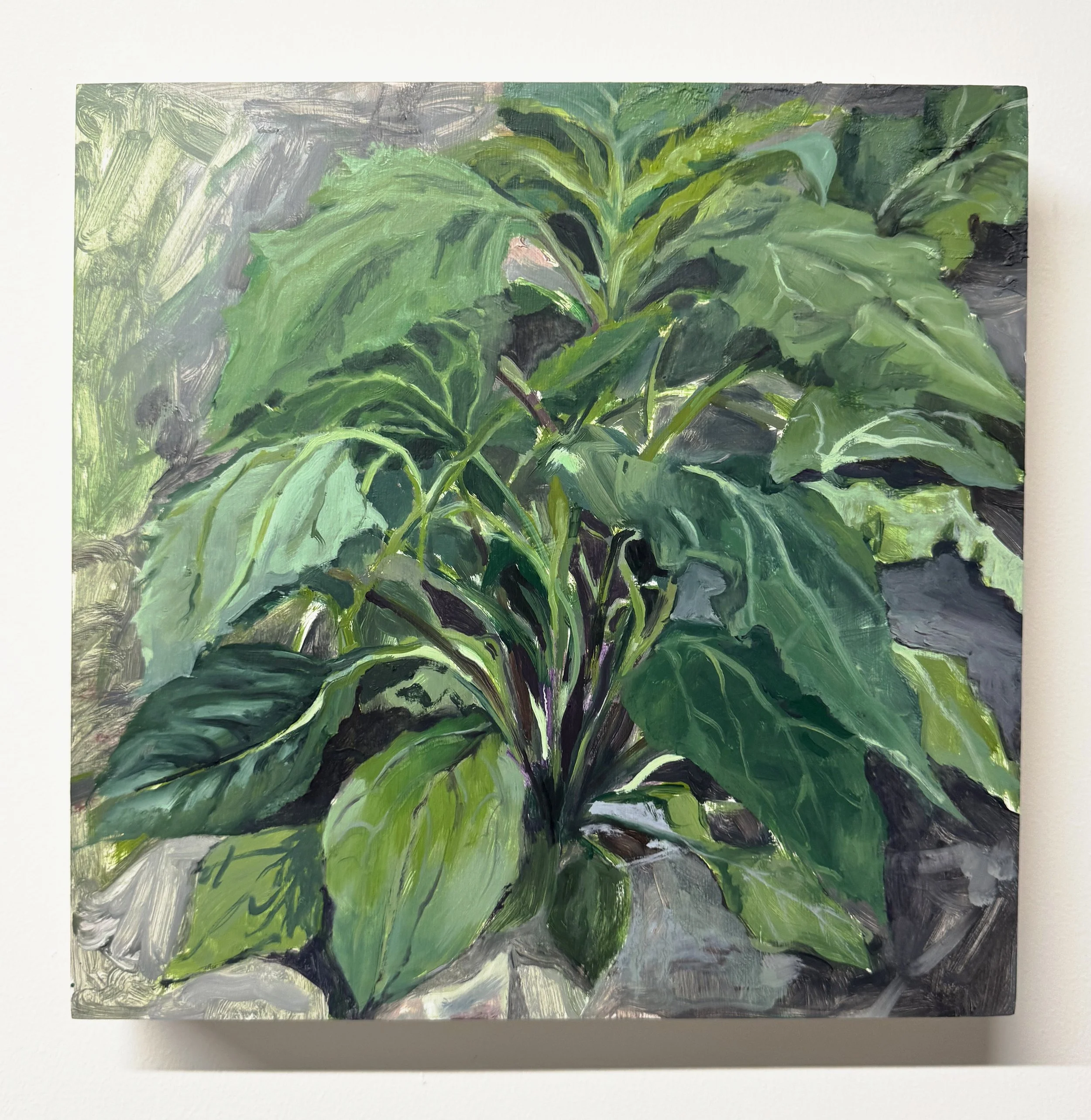 Echinacea Purpurea study (2026)