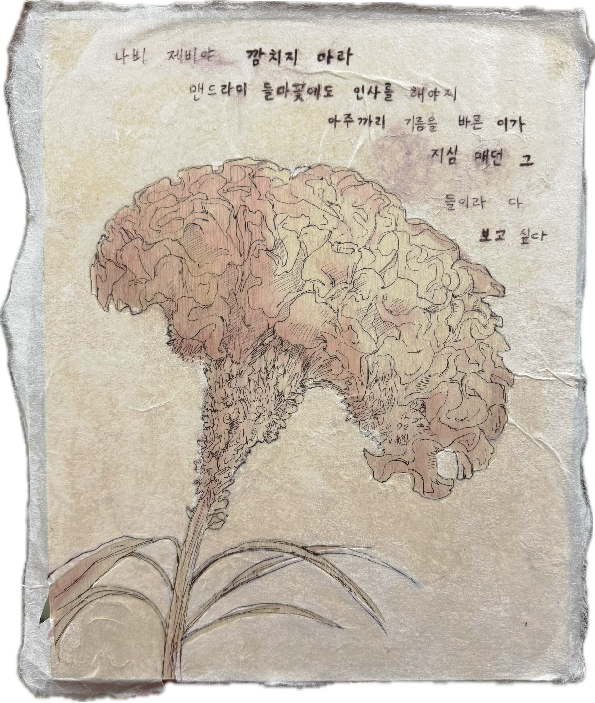 "Butterfly, swallow, don't be coy.
You should greet the cockscomb, and the wild flowers too.
I want to see those fields again, where people with castor oil on their hair were weeding."