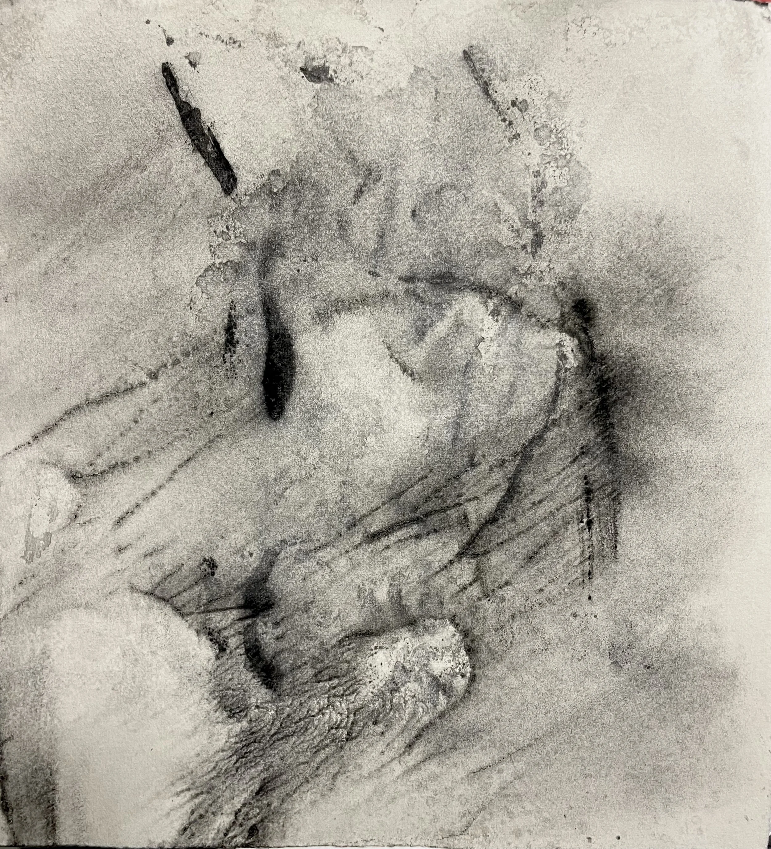 2022 monotype