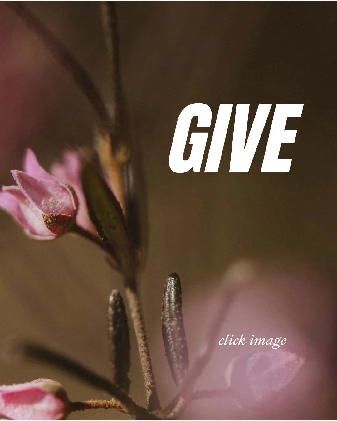 How to financially support our ministry