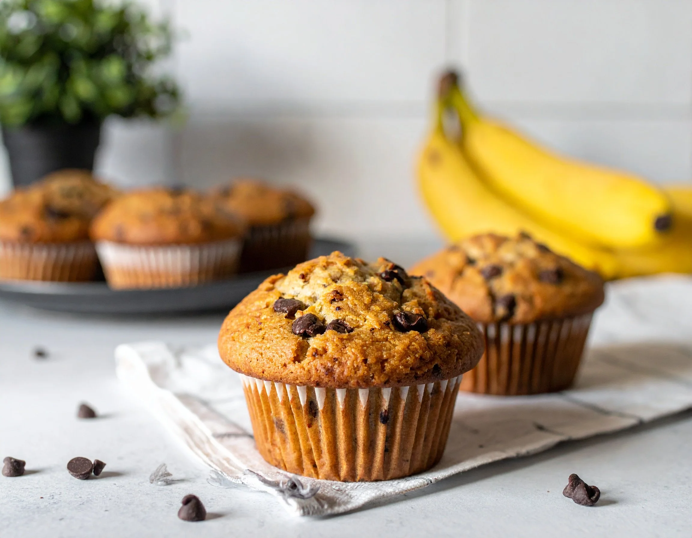 Banana Chocolate Chip Muffins