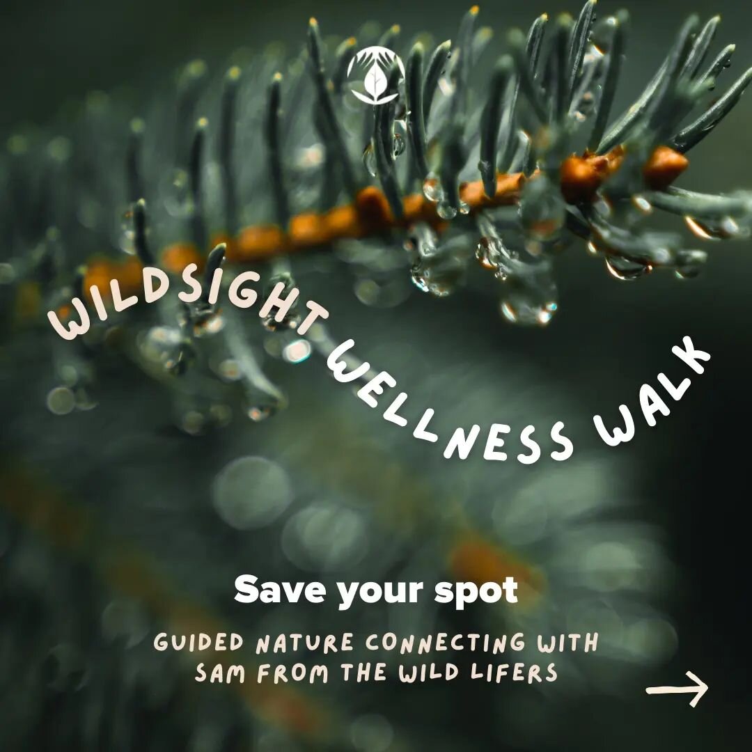 You deserve a morning to relax, unplug and reset. Join us March 19th at the Rocky Mountain Buffalo Ranch for a guided wellness walk and nature connection. Hosted by Wildsight and led by Sam from The Wild Lifers, this event is by donation and details 