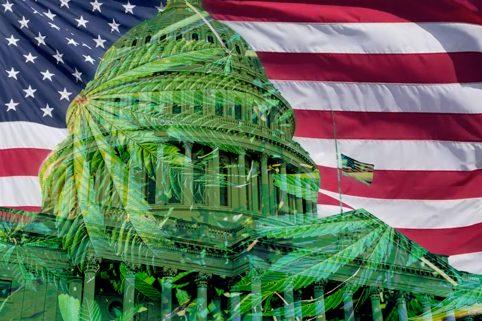 Presidents’ Day Weekend Cannabis Guide: When to Shop, What to Buy, and How to Score the Best Deals