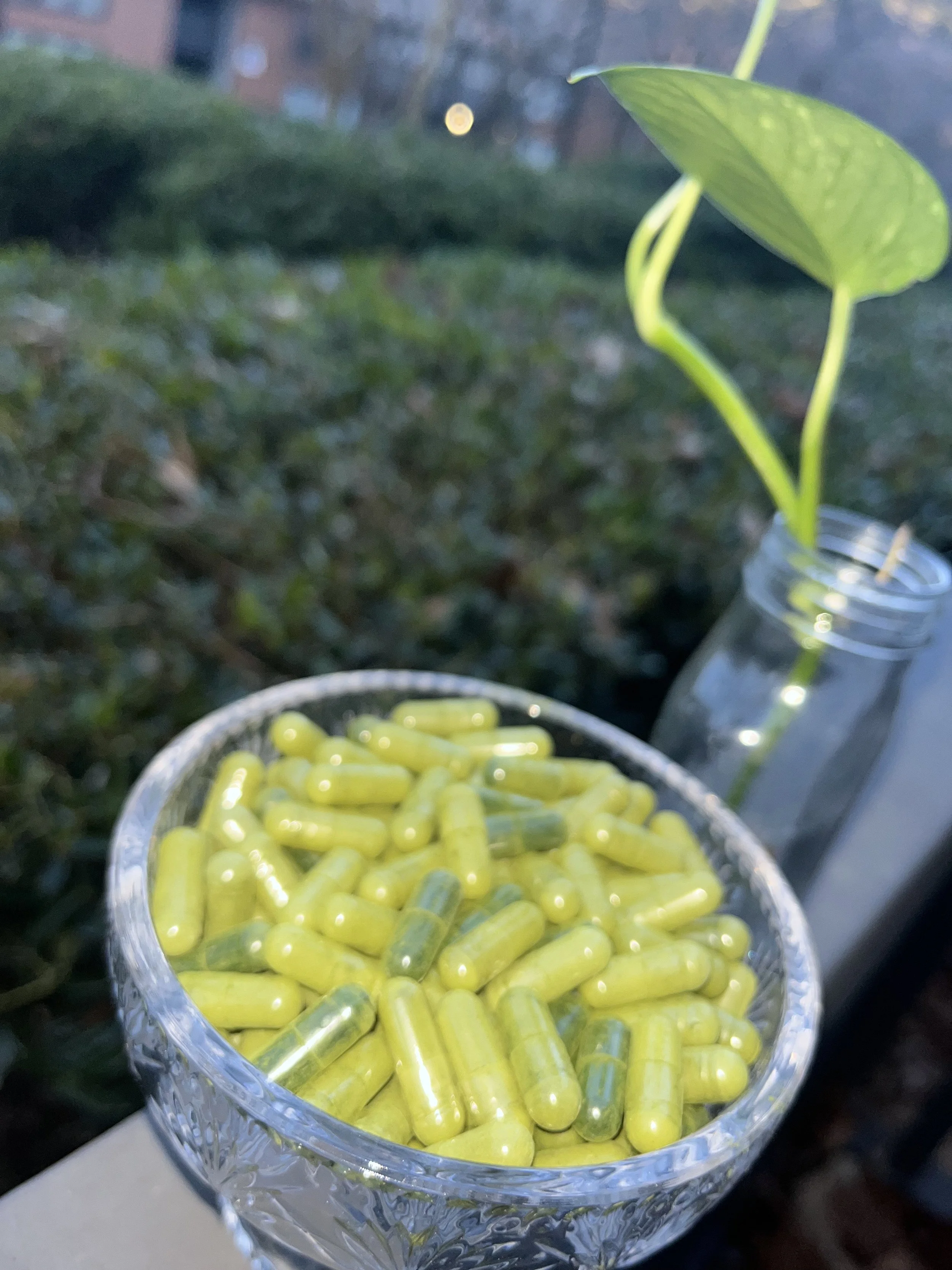 Chlorella Capsules