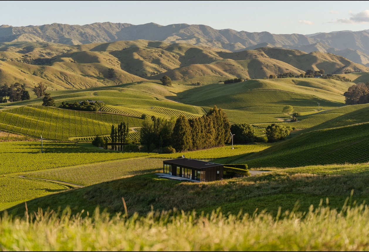 The Nineteenth Marlborough, NZ/Aotearoa