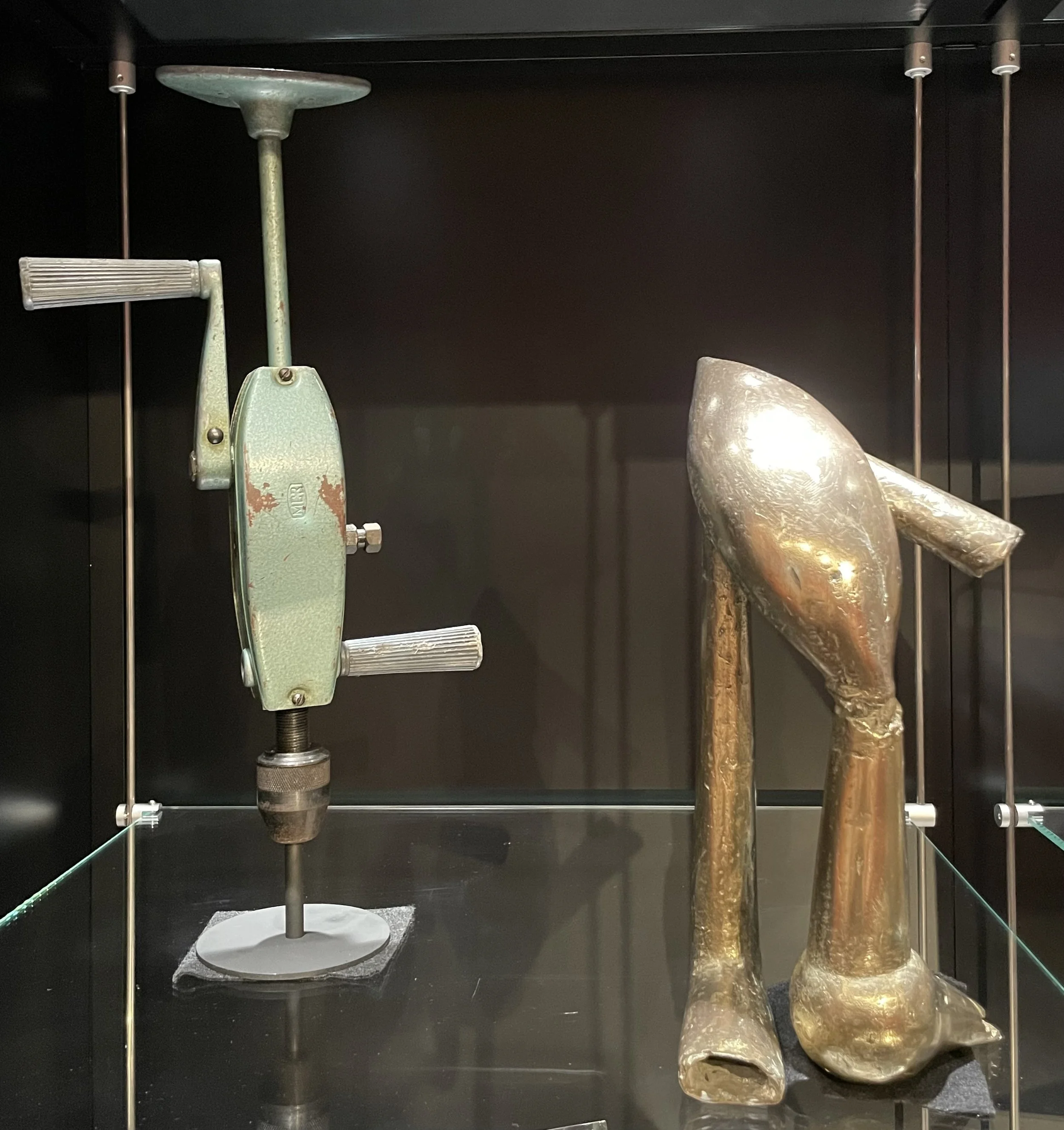 Curiosity cabinet with handrill of Jona Ullmann, bronze by Vasille Gorduz, "Bird on  leg", Tyler Collection