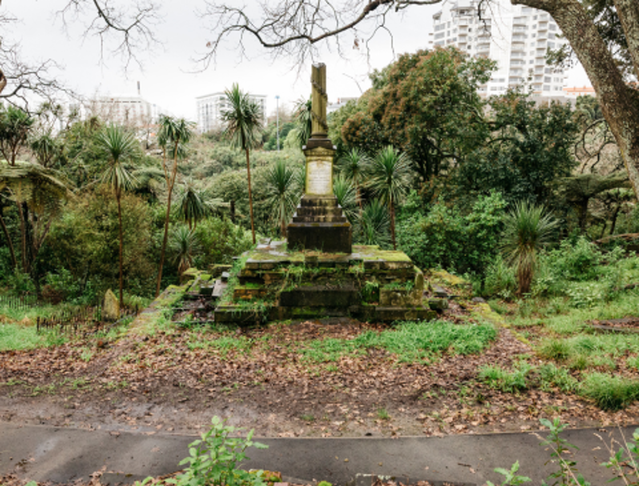 A tour of Symonds Street Cemetery