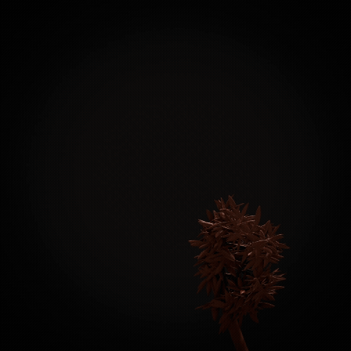 fernforgif.gif