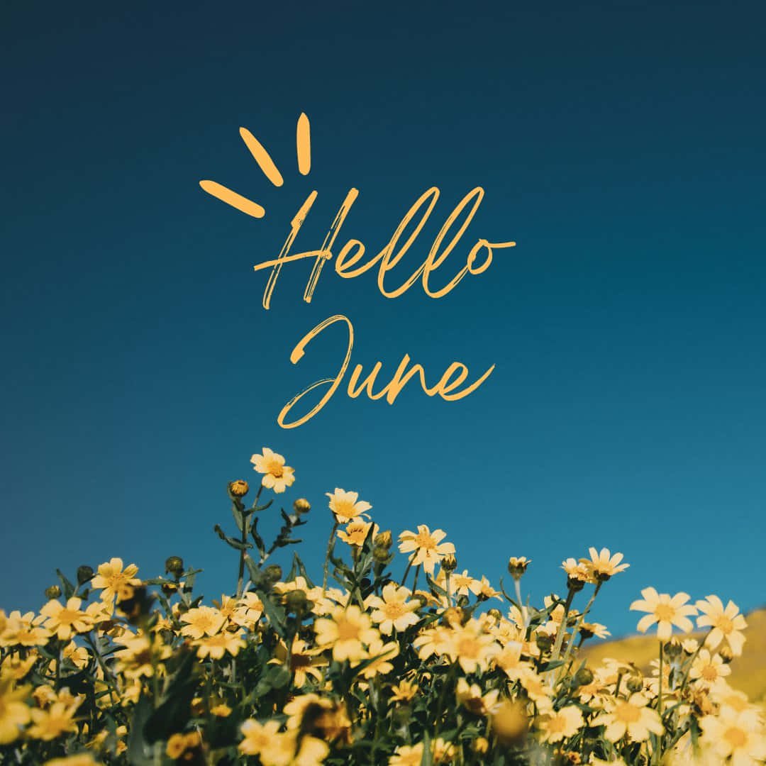 From the Desk of Holly…