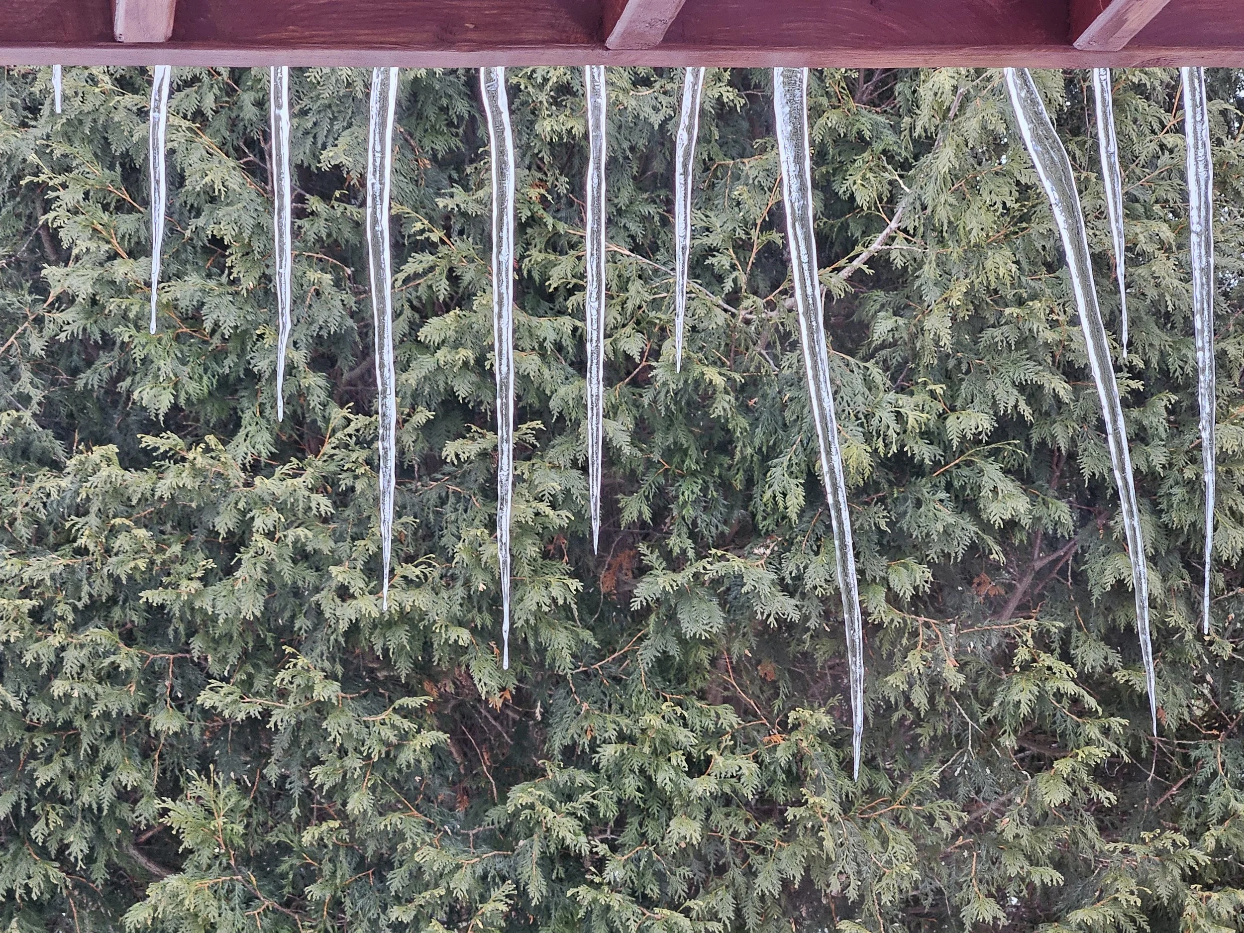 Photo Friday - Icicles