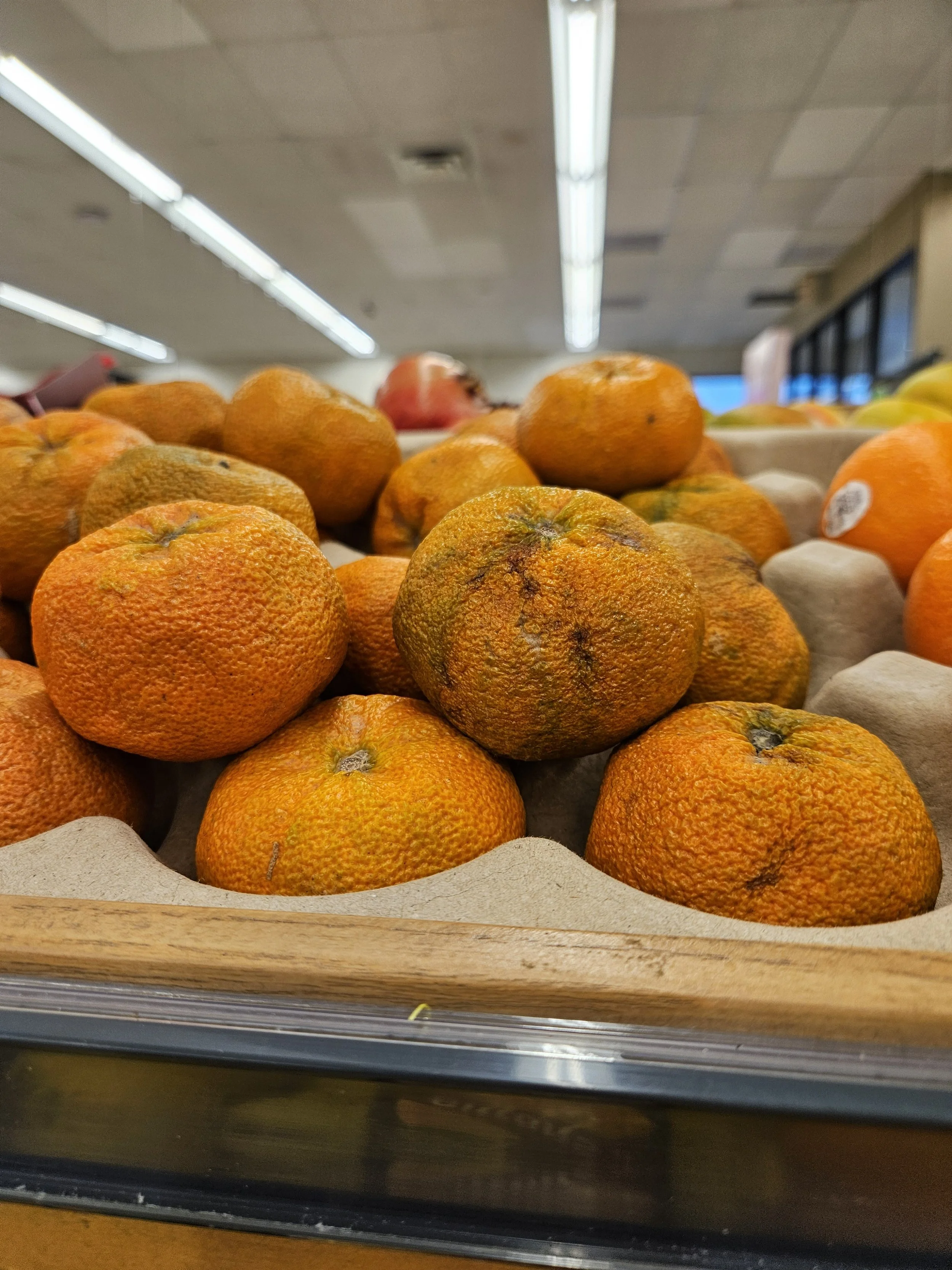rotting mandarins on the shelf