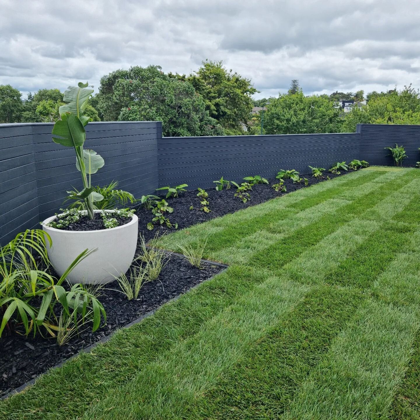 Want to give your garden a fresh look to kick off the new year? Give us a call!
.
.
.
#newzealand #landscaping #landscape #development #realestate #garden #auckland #construction #firsthomebuyer #architecture #landscapearchitecture