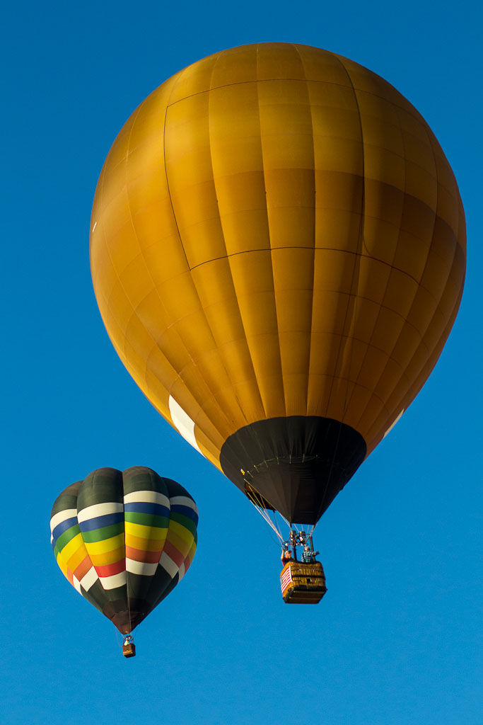 Havasu Balloon Festival5.jpg