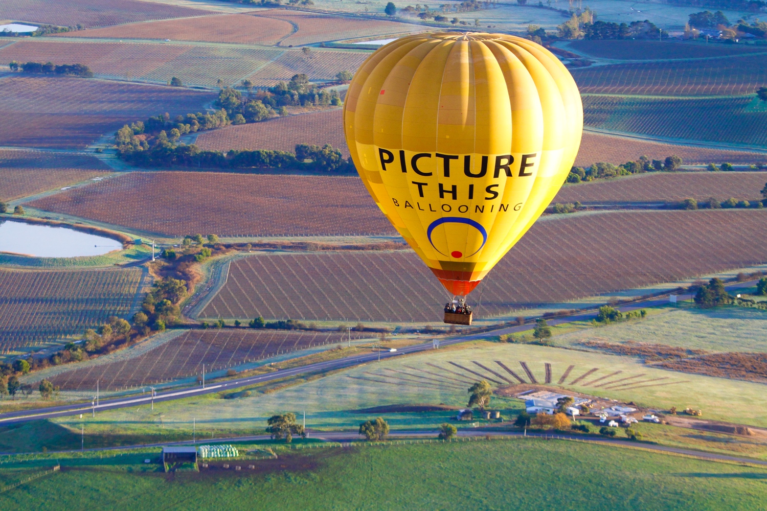 Picture This Hot Air Balloon over Yarra Valley 1.jpeg
