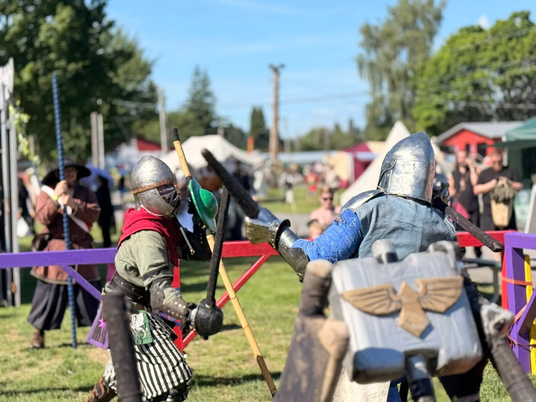 Faire Du Well (Skagit Renaissance Faire)