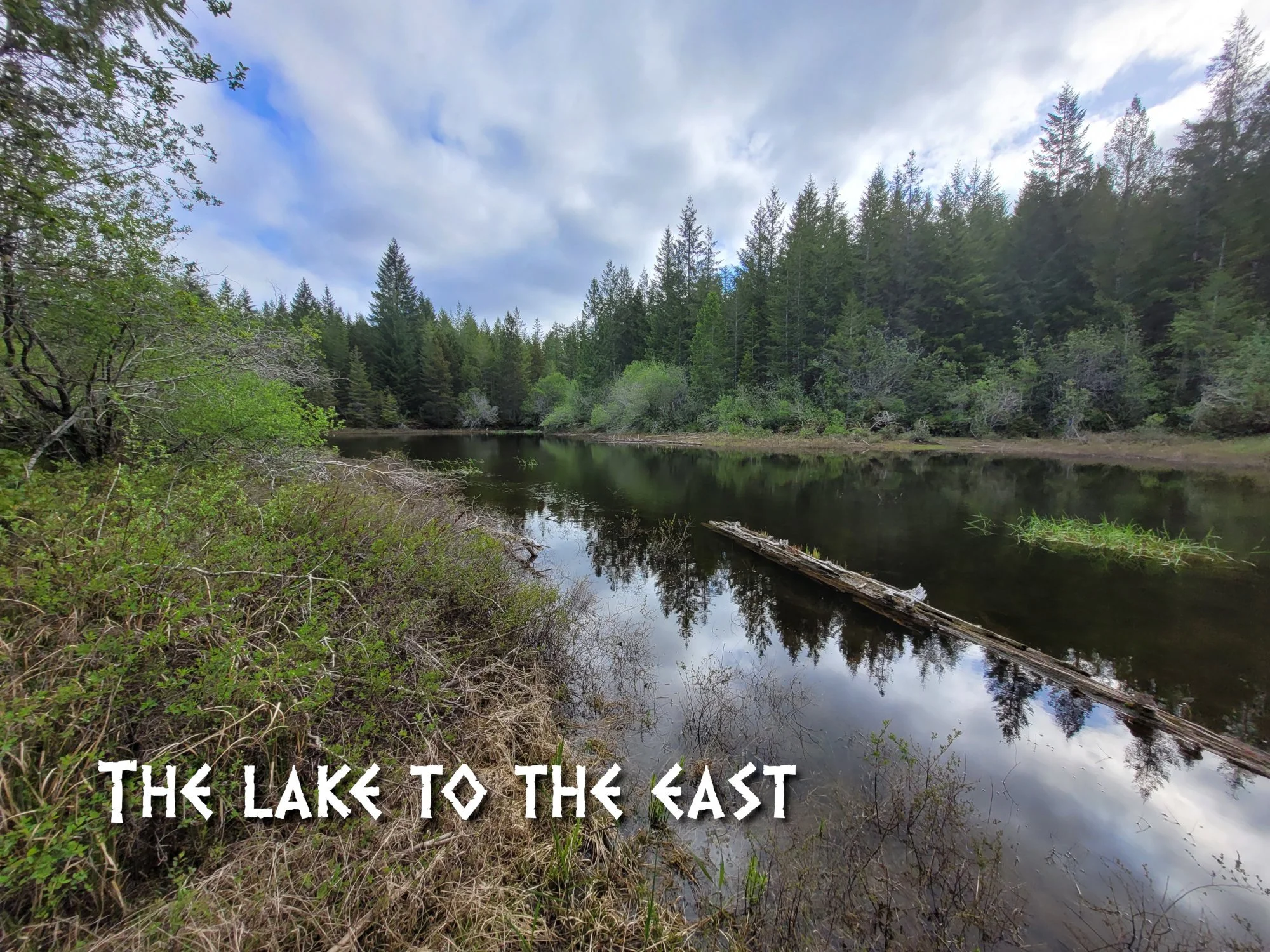 lake.jpg