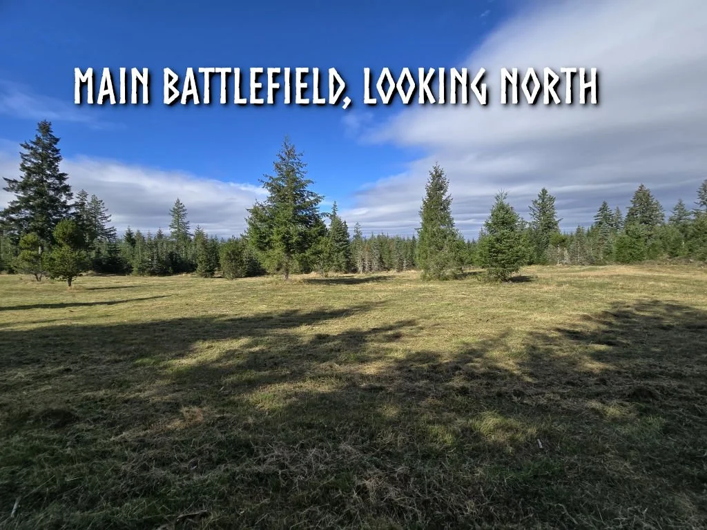 main field N.jpg