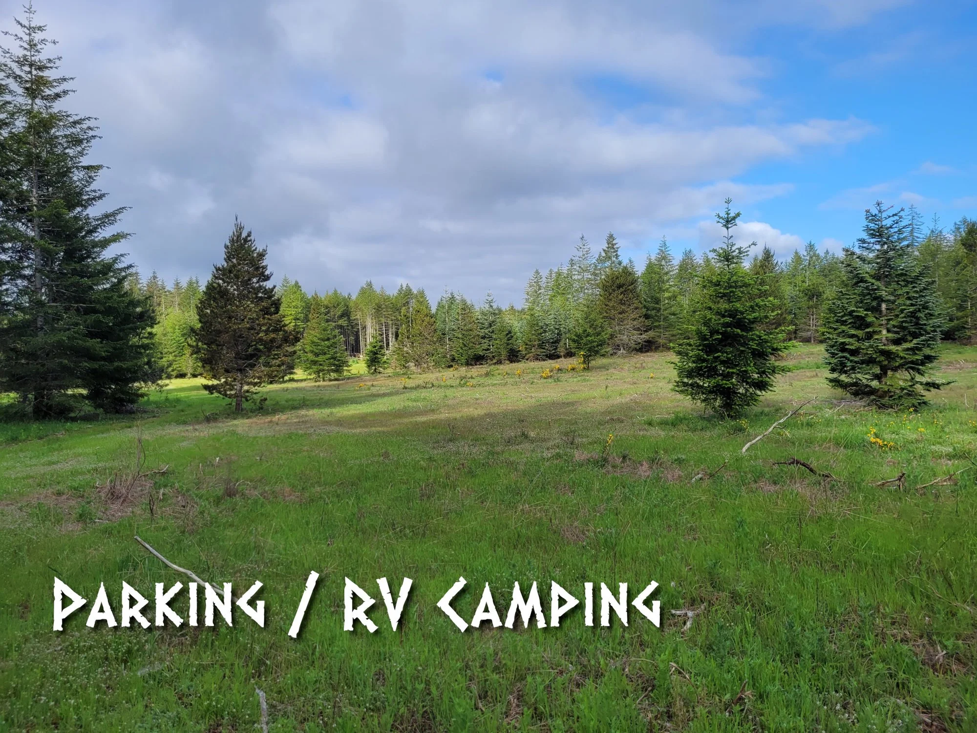 parking rv camping.jpg