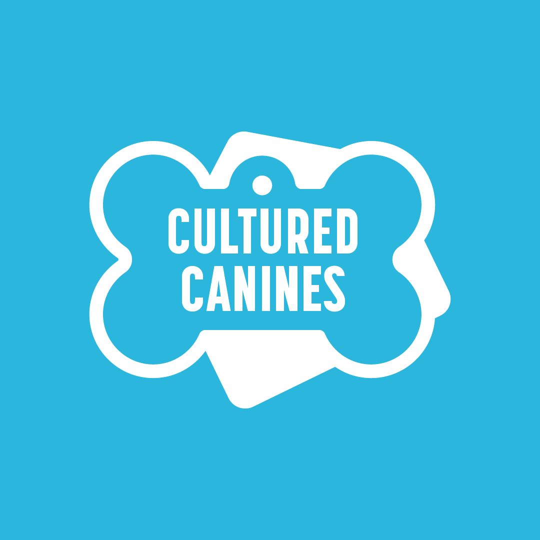 Icon_WhiteonBlue 2.PNG