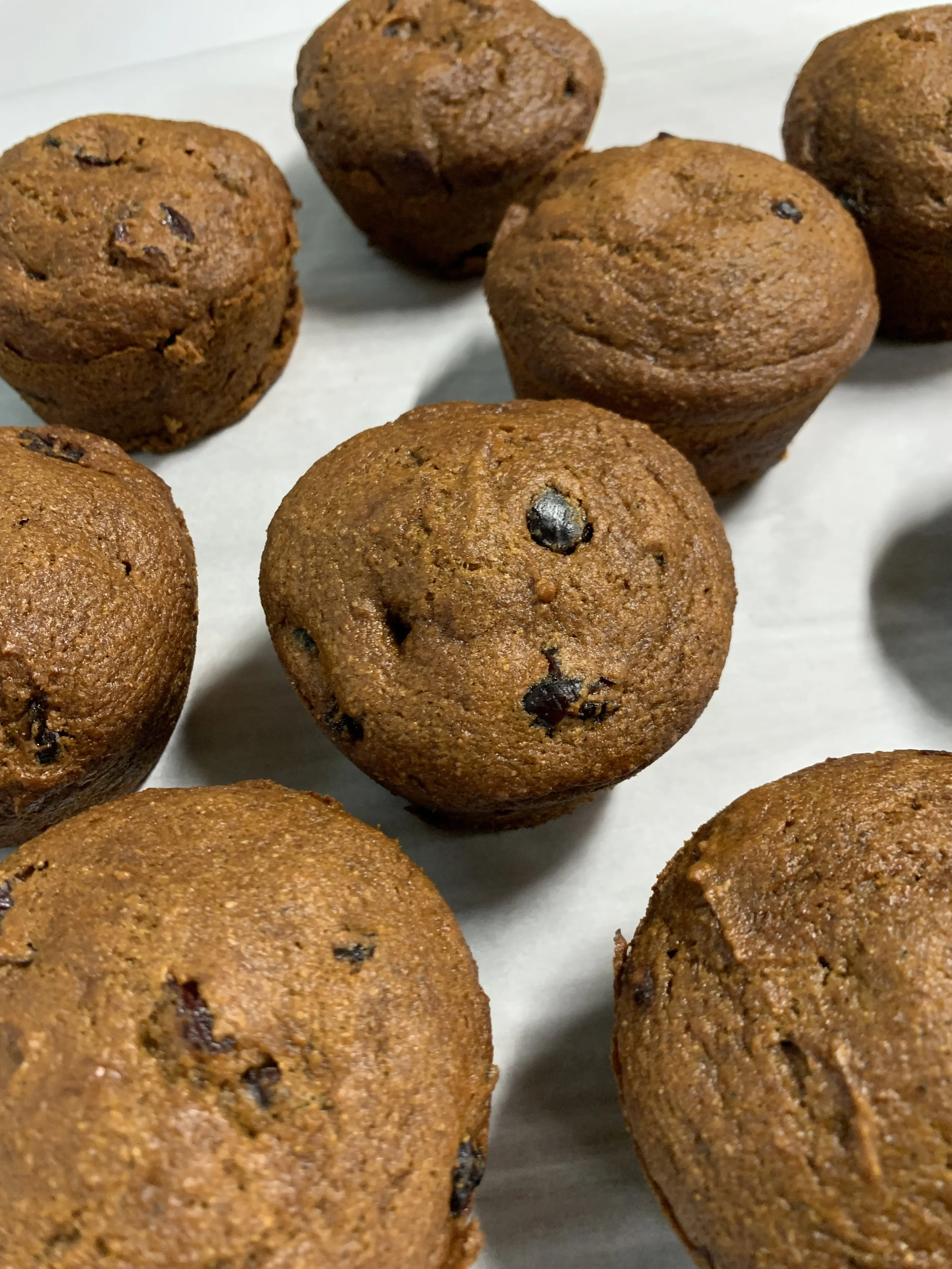 Muffins-SPD.jpg