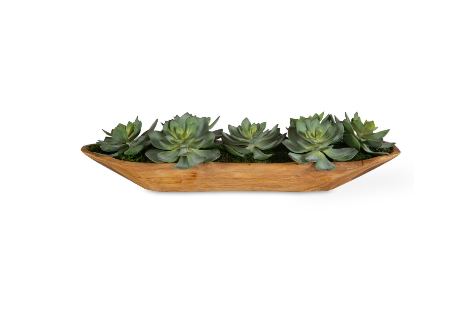 Succulent Centerpiece