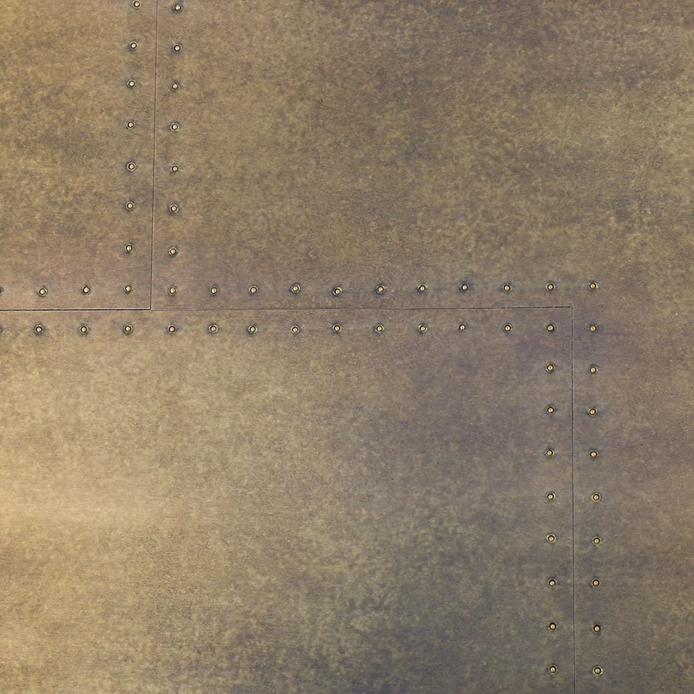 spider 6.jpg