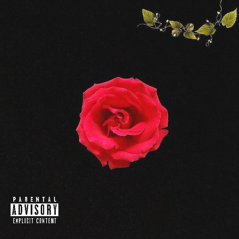 BLACK WITH ROSE COVER IMAGE.jpg