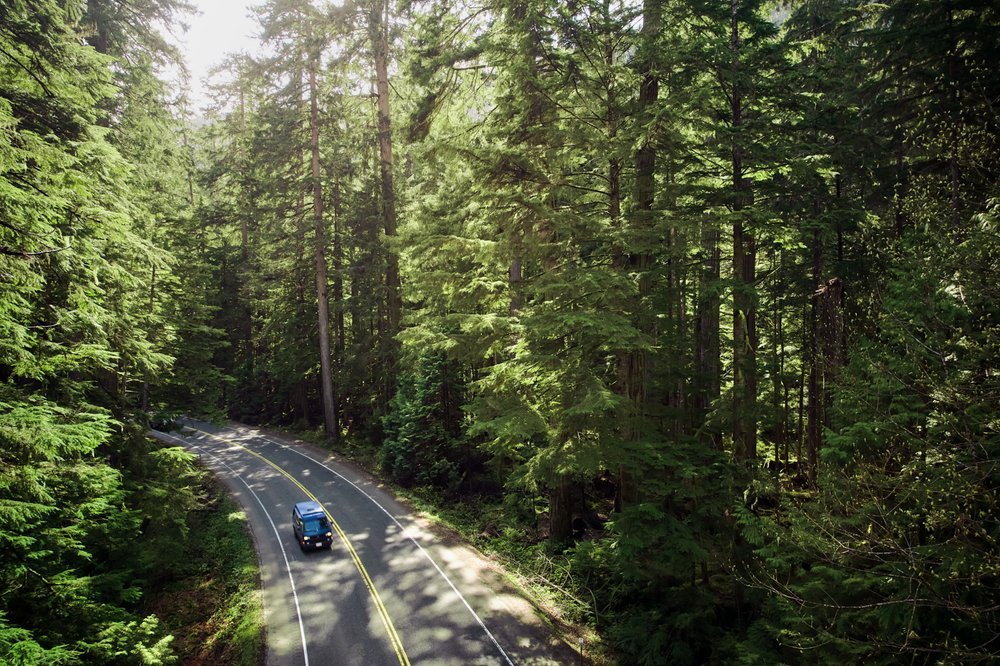 Samuel+Hesketh+Photography+-+VW+Westfalia+Vancouver+Island+Forest.jpg