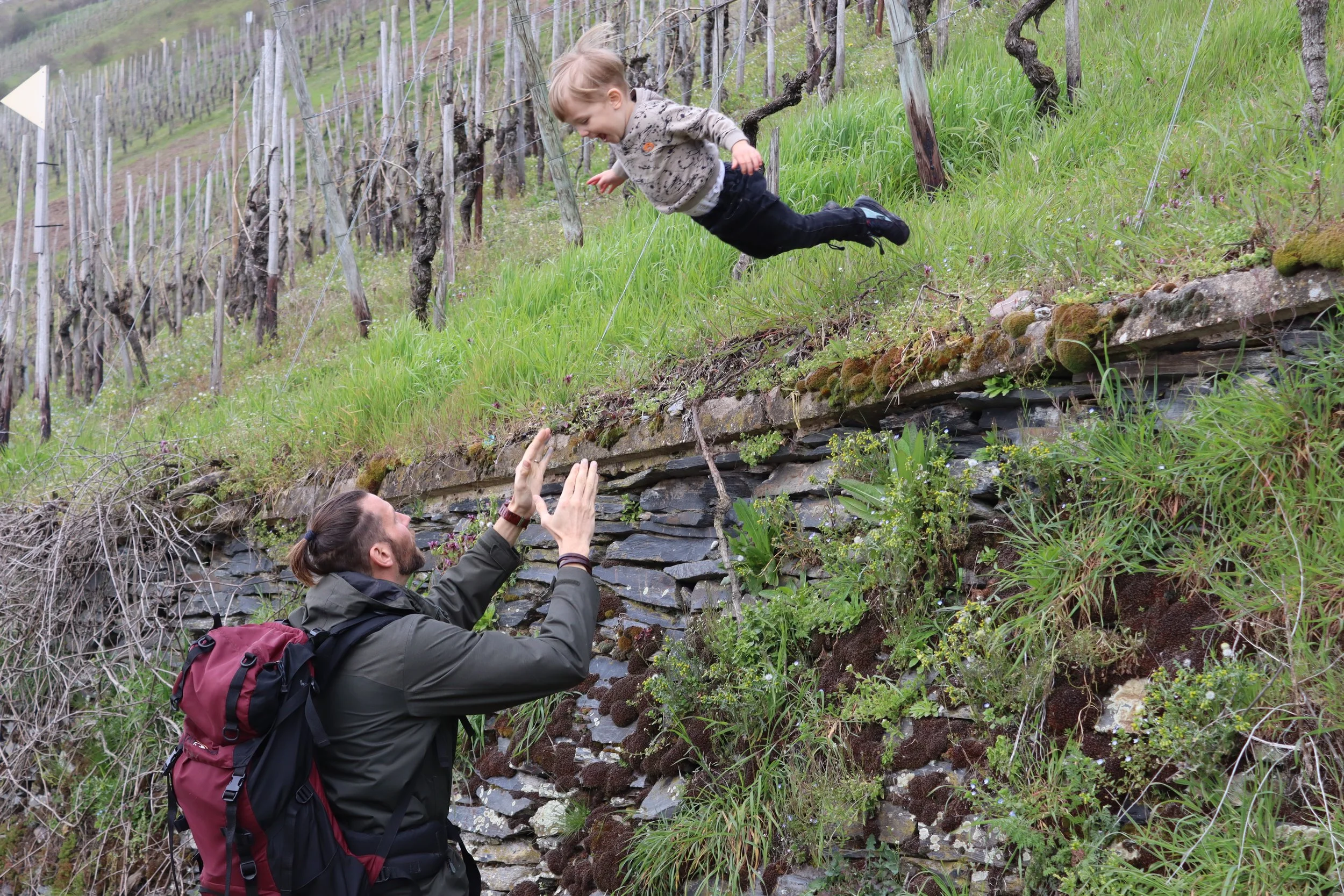 Kaleo springt heiko in die Arme. Wir waren in den Weinbergen an der Mosel wandern