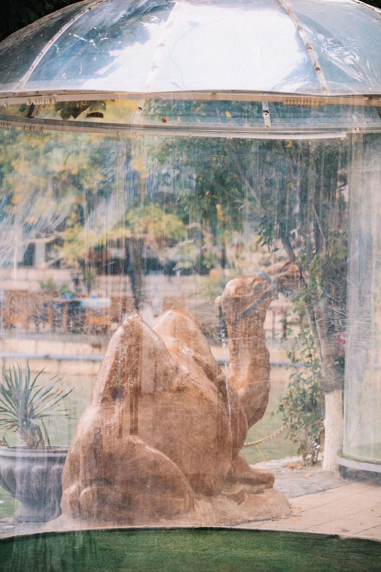 20241015_39A6899-VSCO.jpg