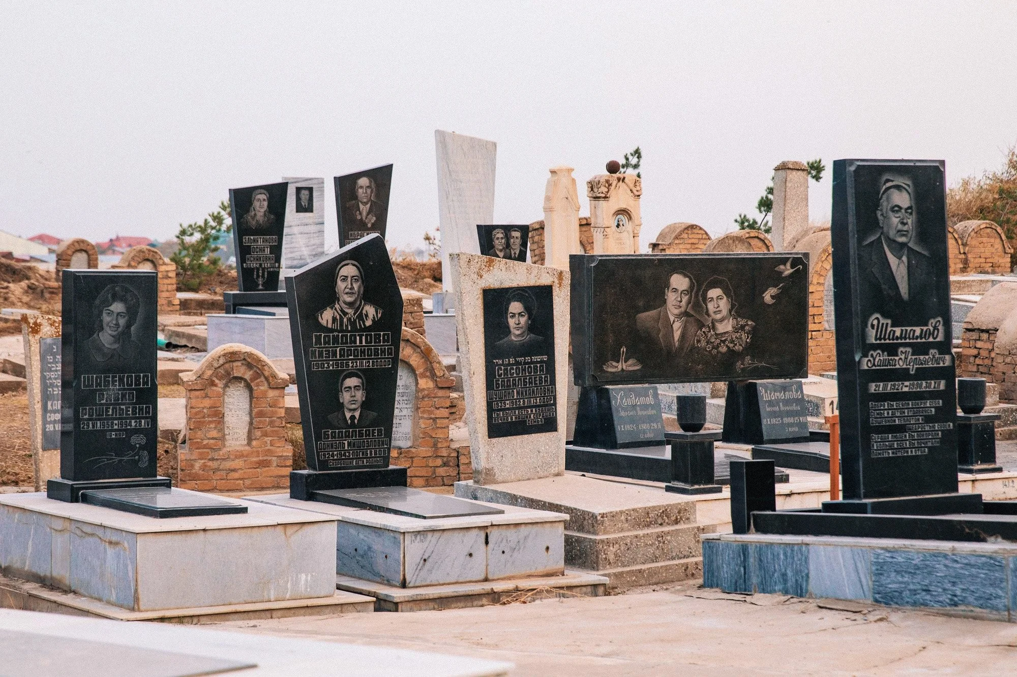 20241021_39A9379-VSCO.jpg