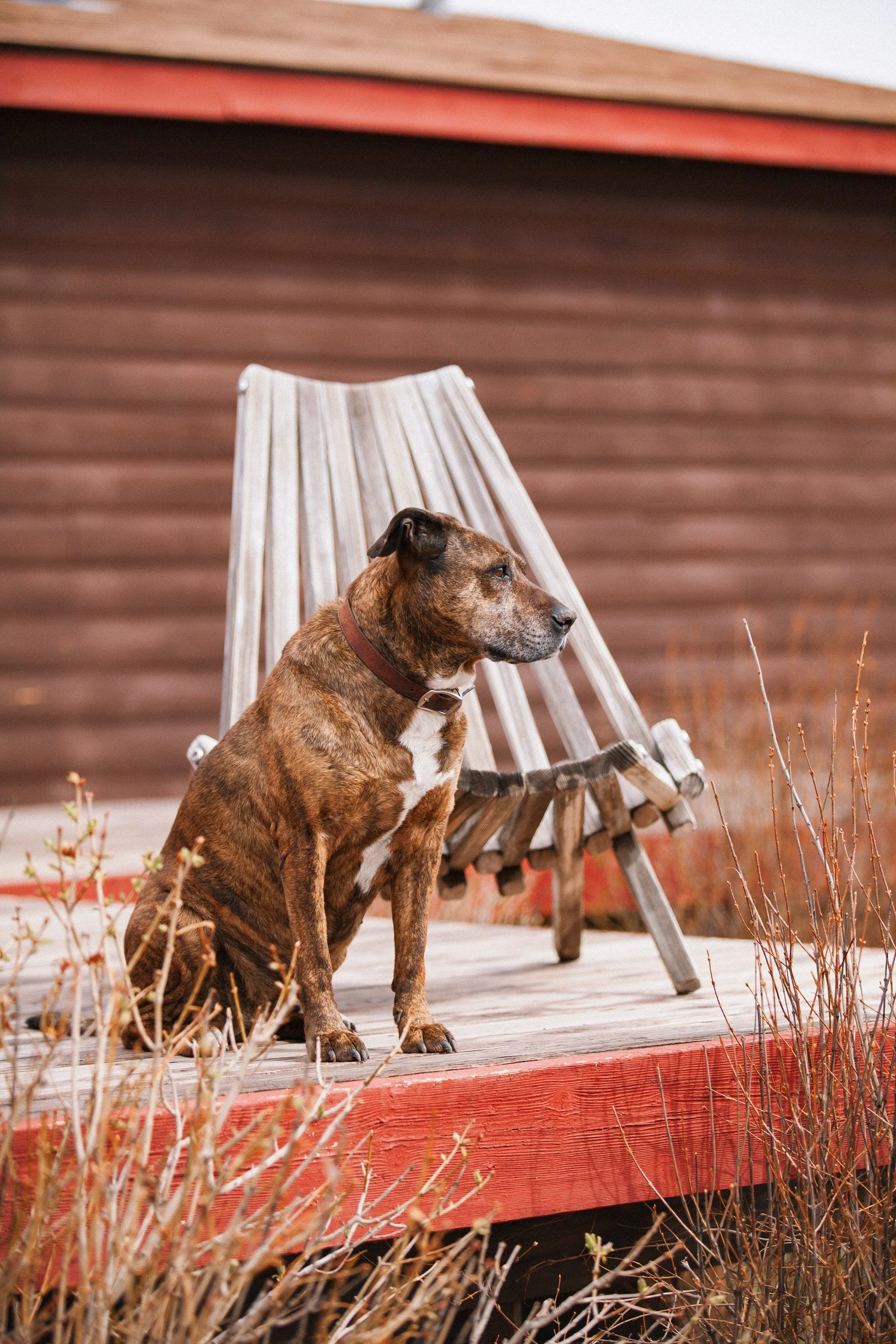 _MG_0145 (1)-VSCO.jpg