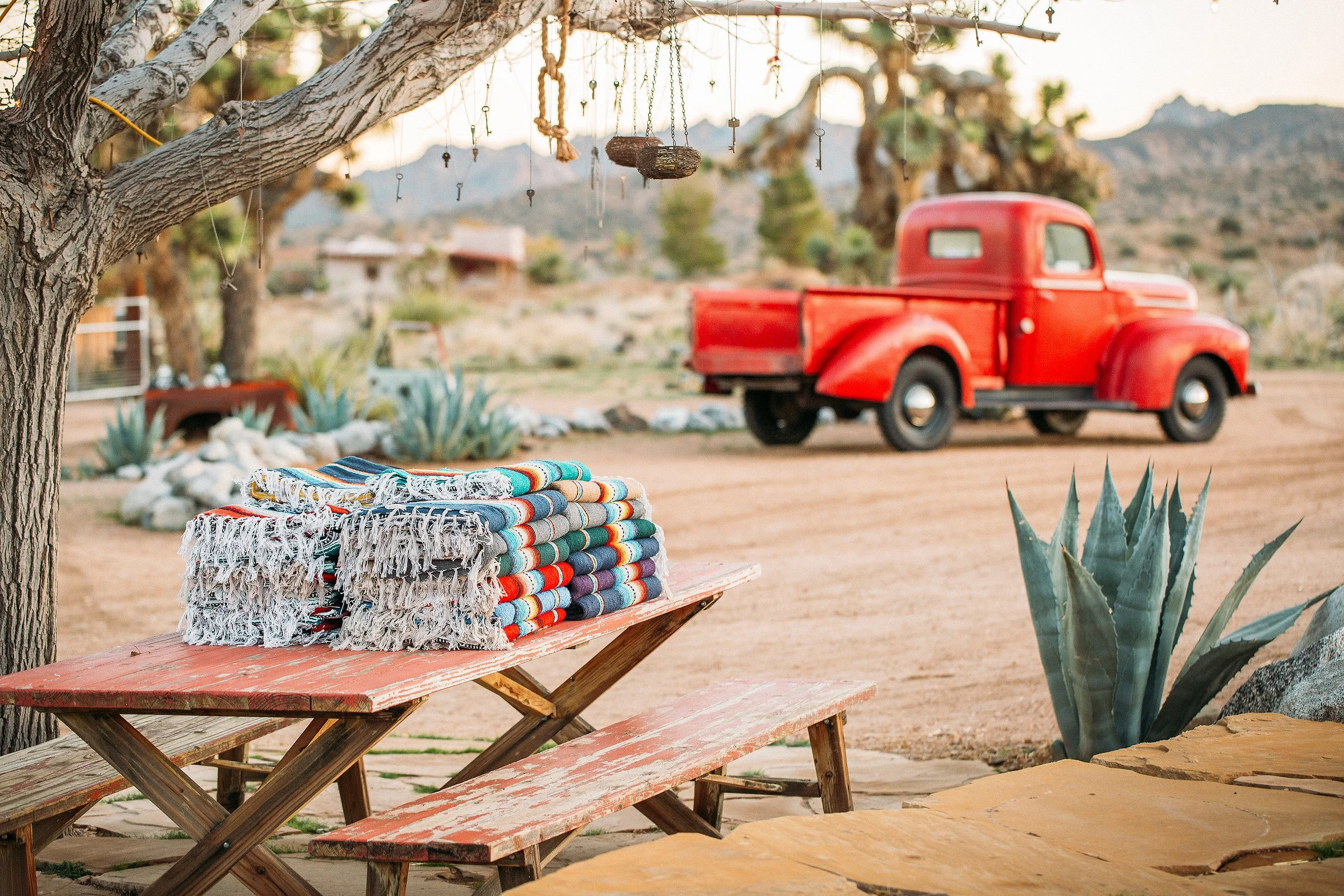 SarahMarcus_print_246 (1).jpg