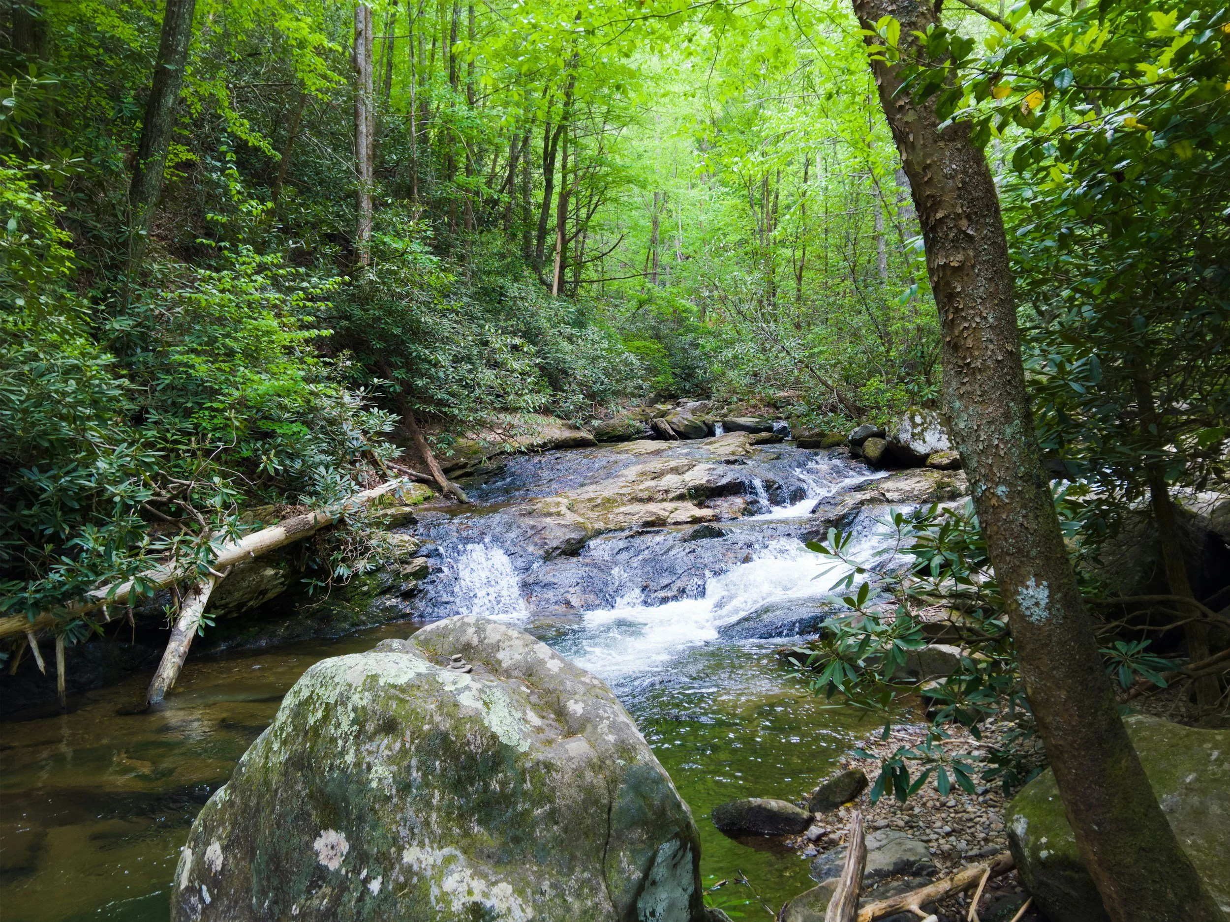 Couples Psychedelic Assisted Therapy Retreat near Asheville, NC