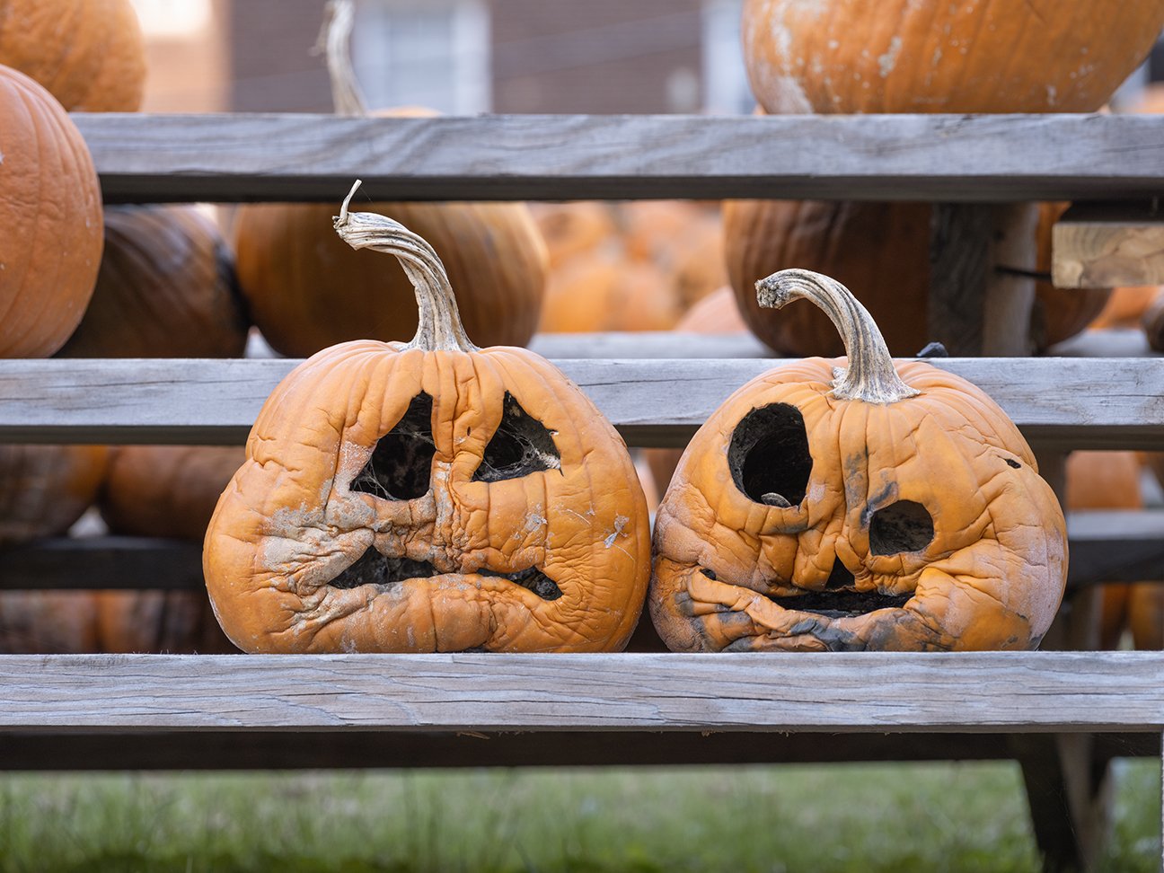 Logan, West Virginia, 2022