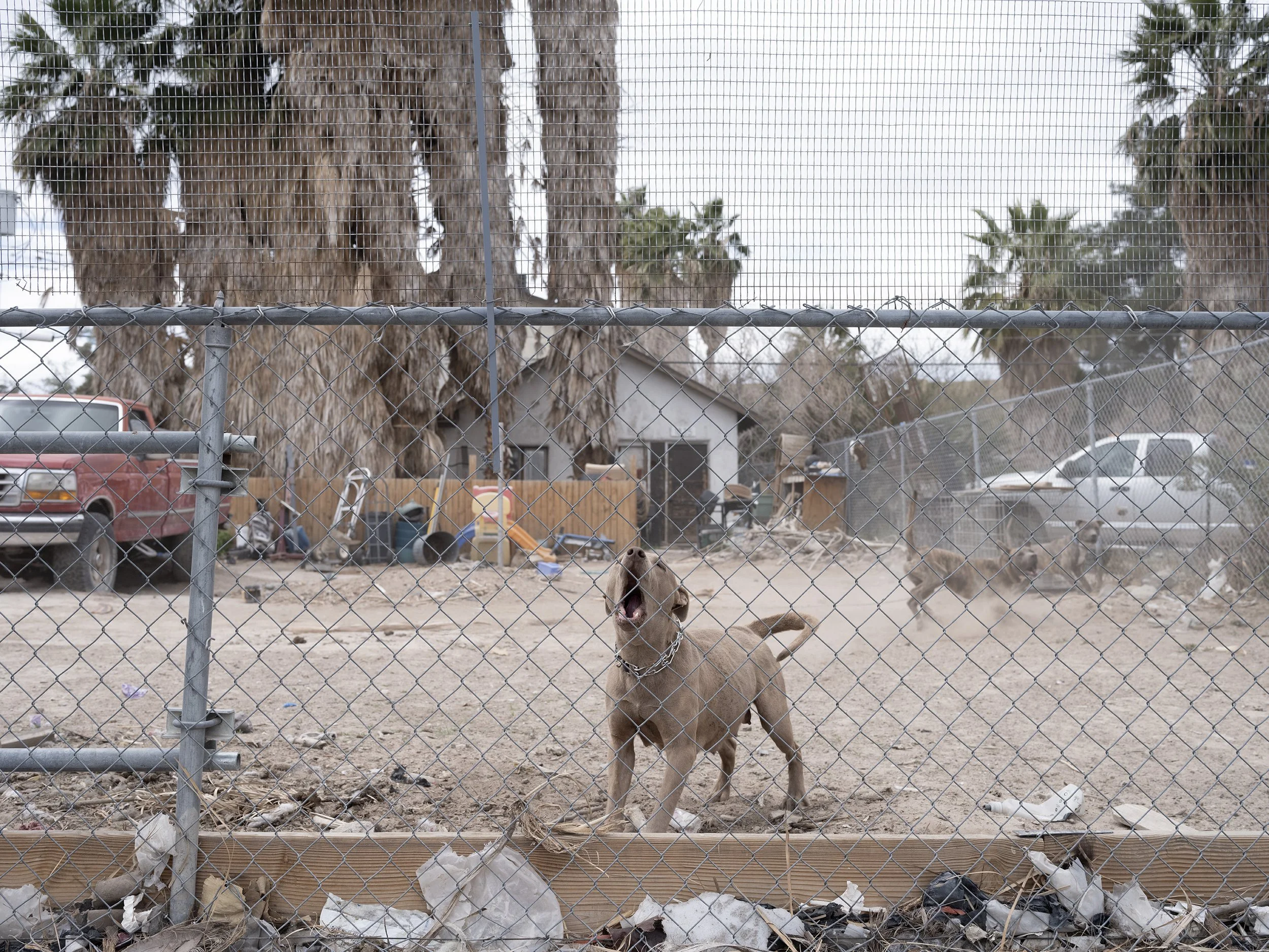 Las Vegas, Nevada, 2024