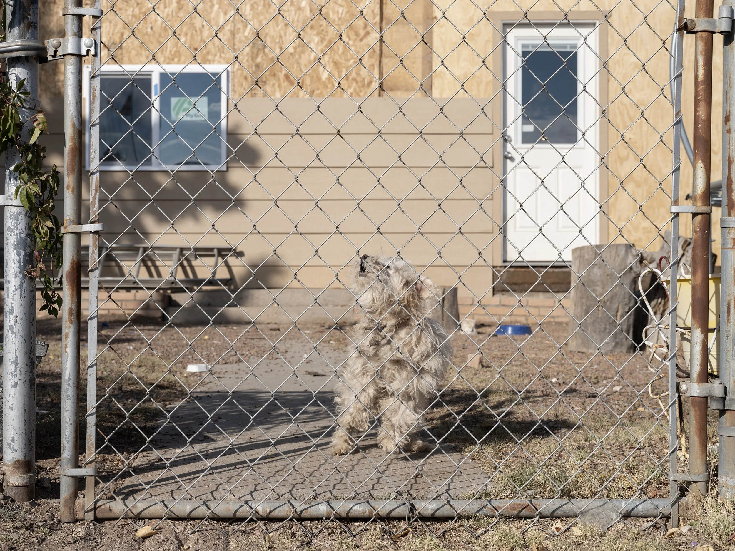 Hurley, New Mexico, 2024