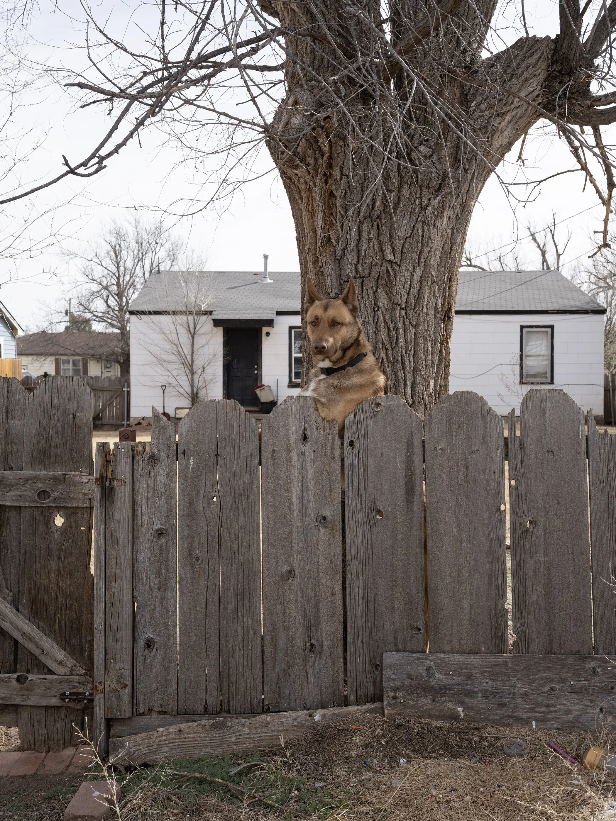 Pampa, Texas, 2024