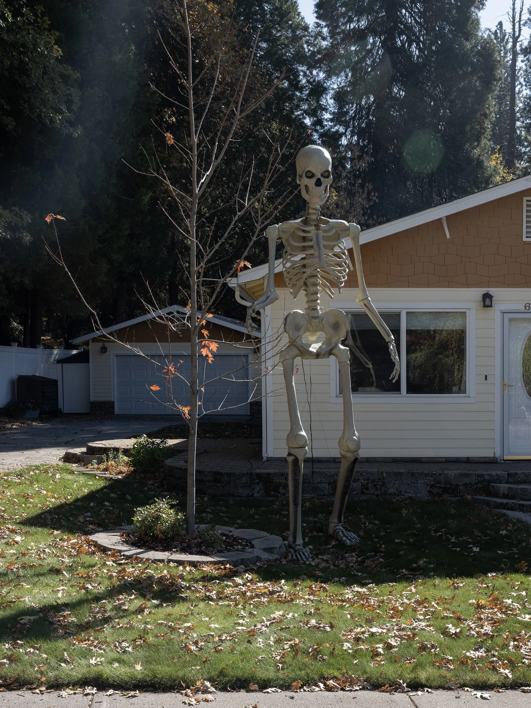 DSCF5231.jpg