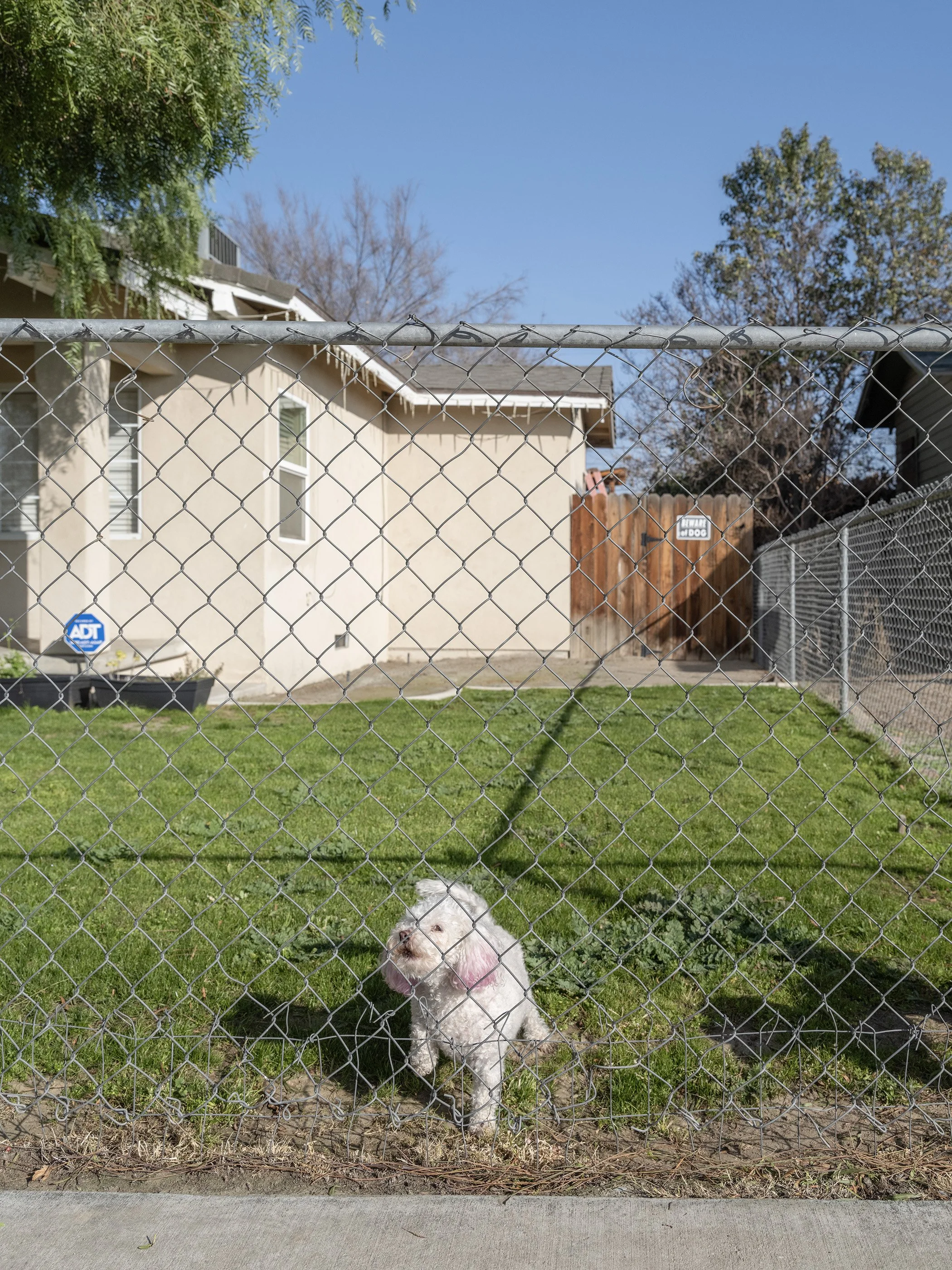 East Bakersfield, 2024