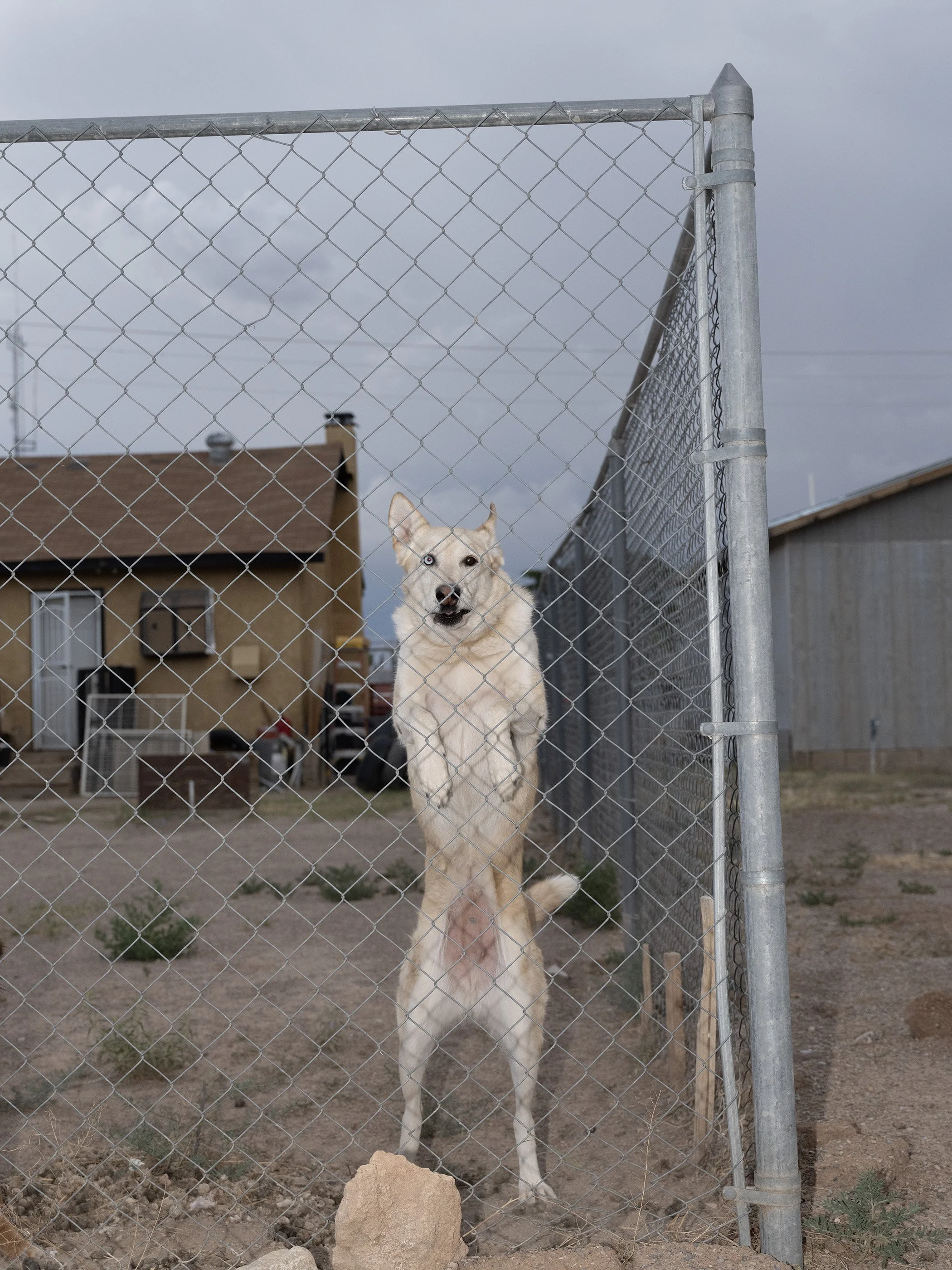 Alamogordo, New Mexico, 2026