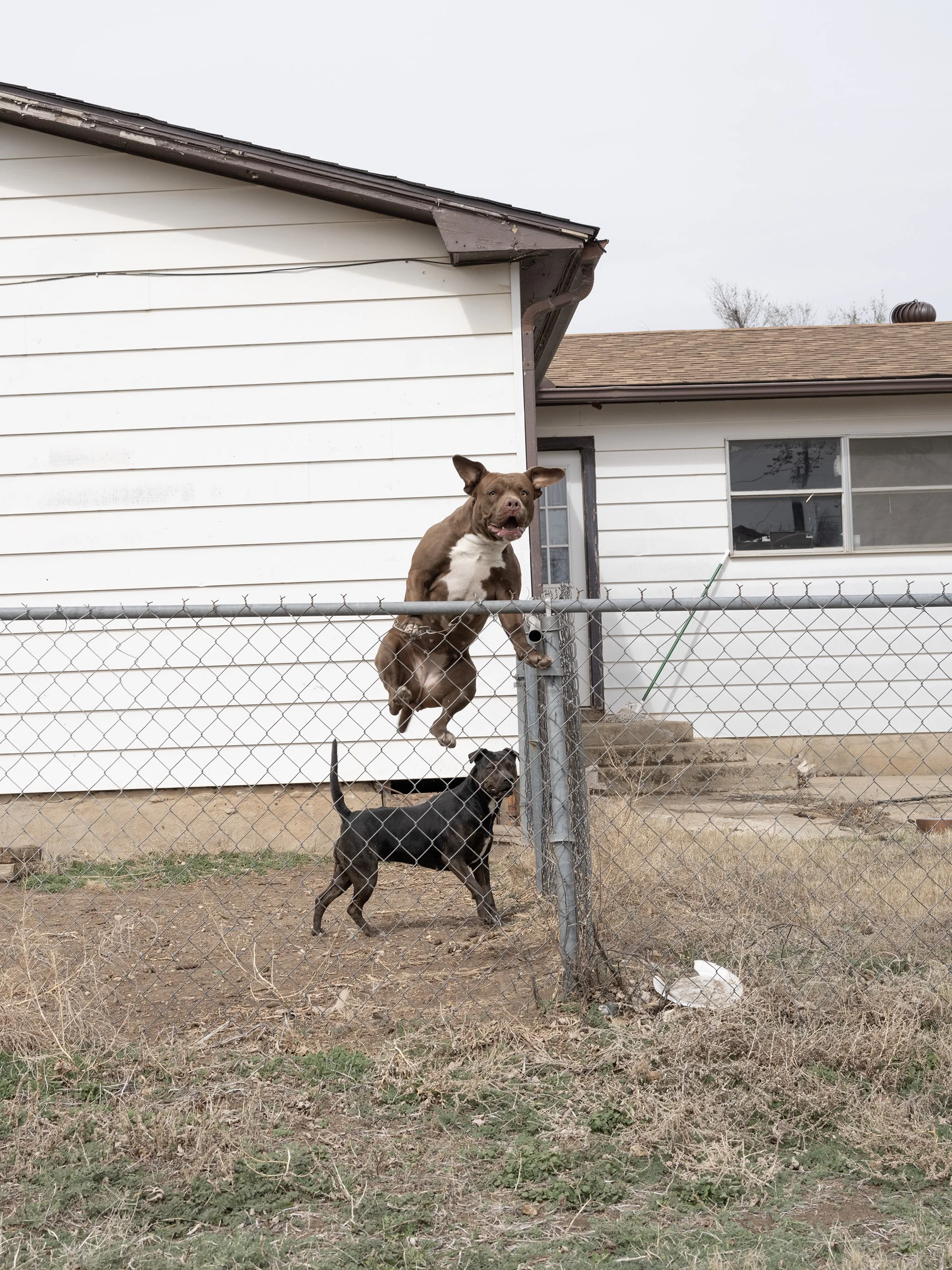 Pampa, Texas, 2024