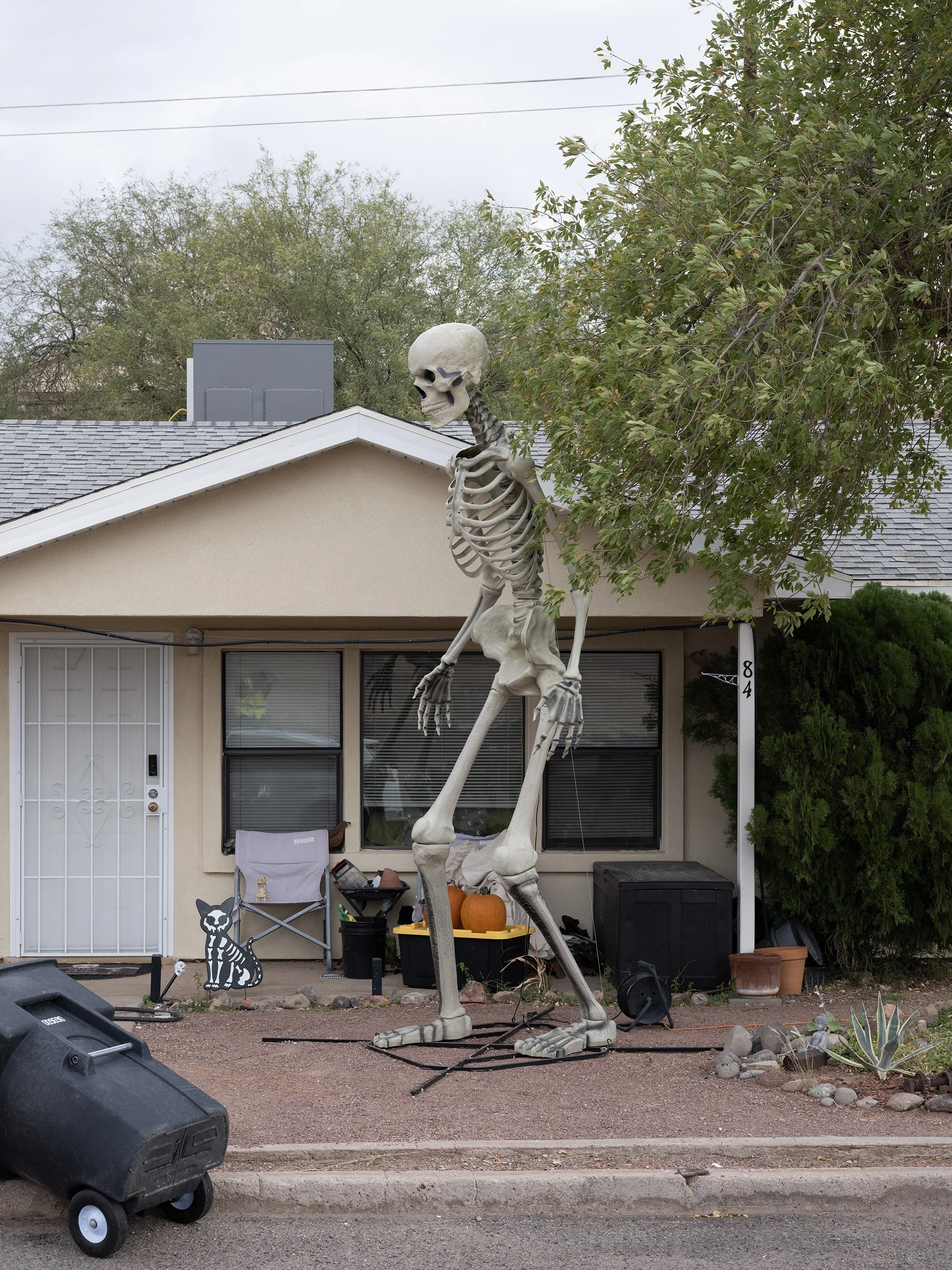 DSCF7091.jpg