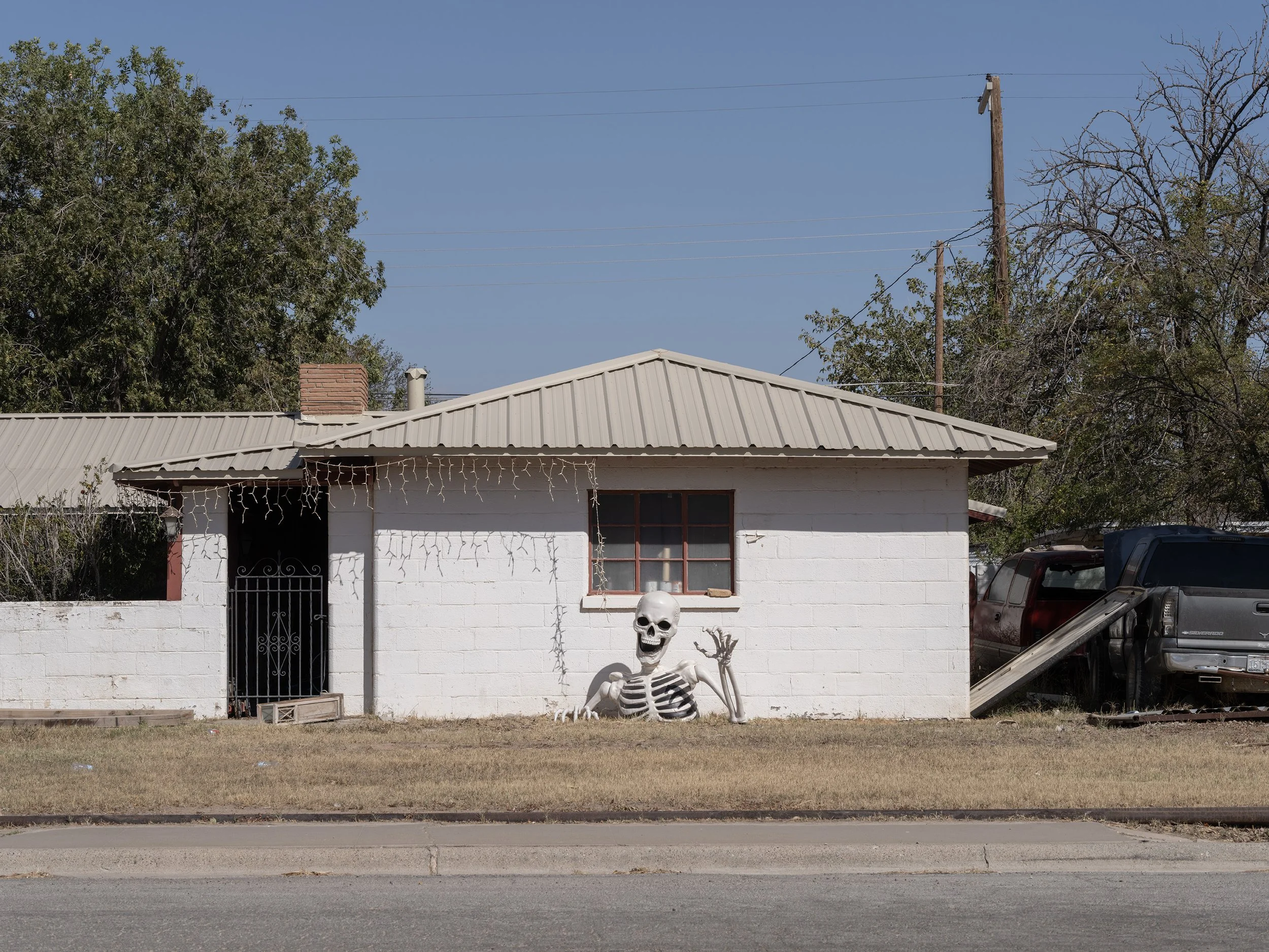 DSCF8538.jpg