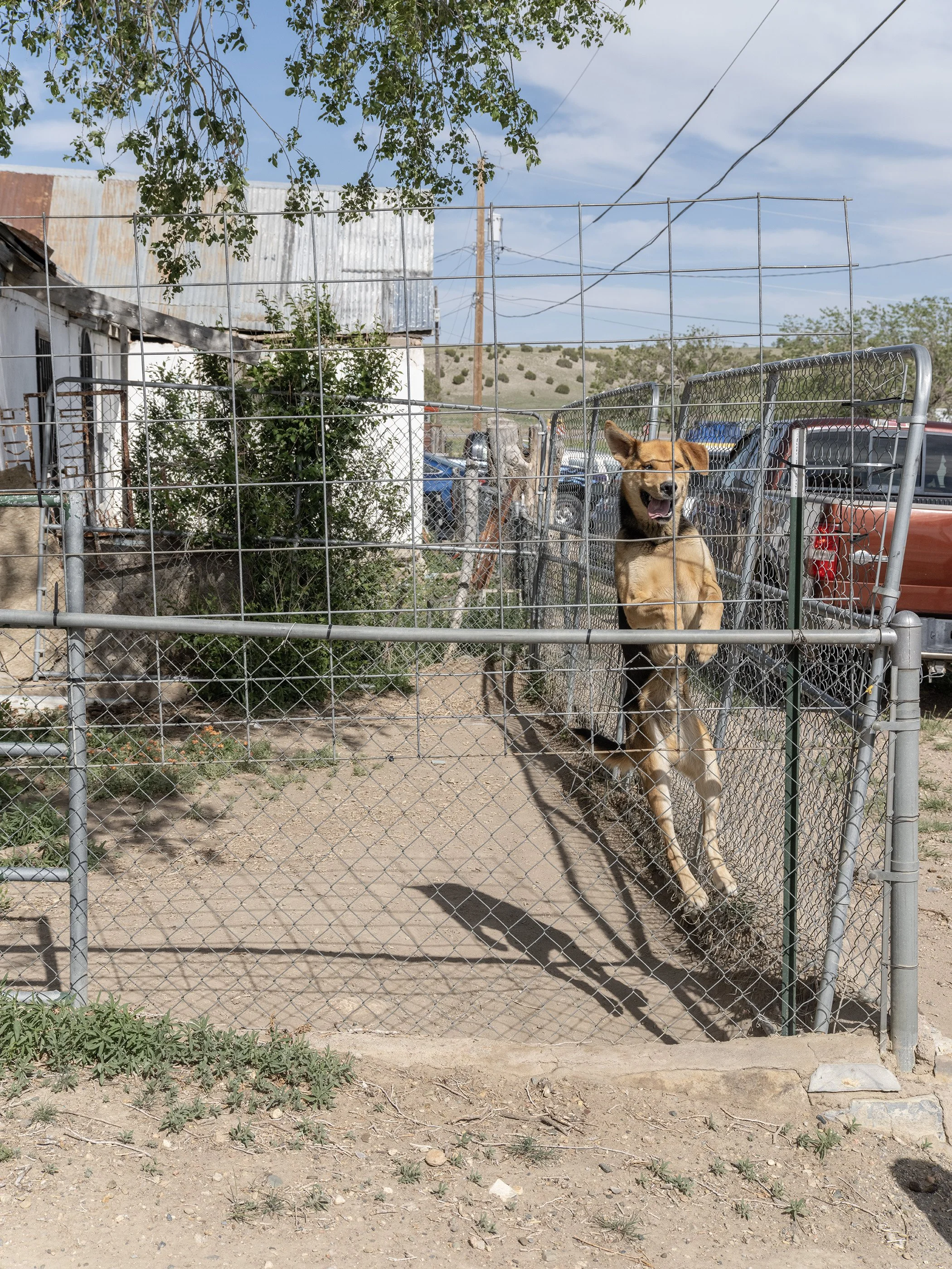 Las Vegas, New Mexico, 2024