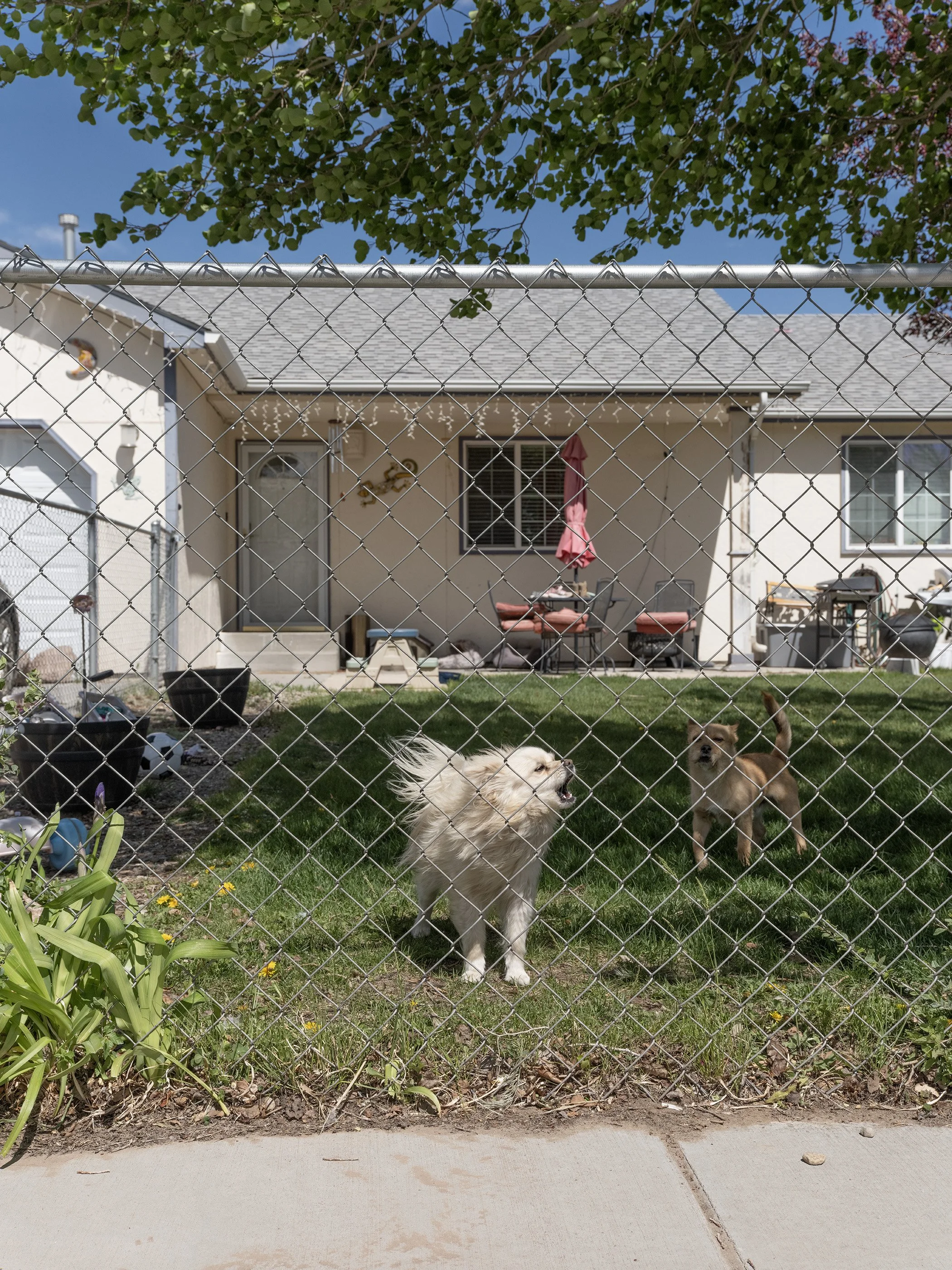 Alamosa, Colorado, 2024